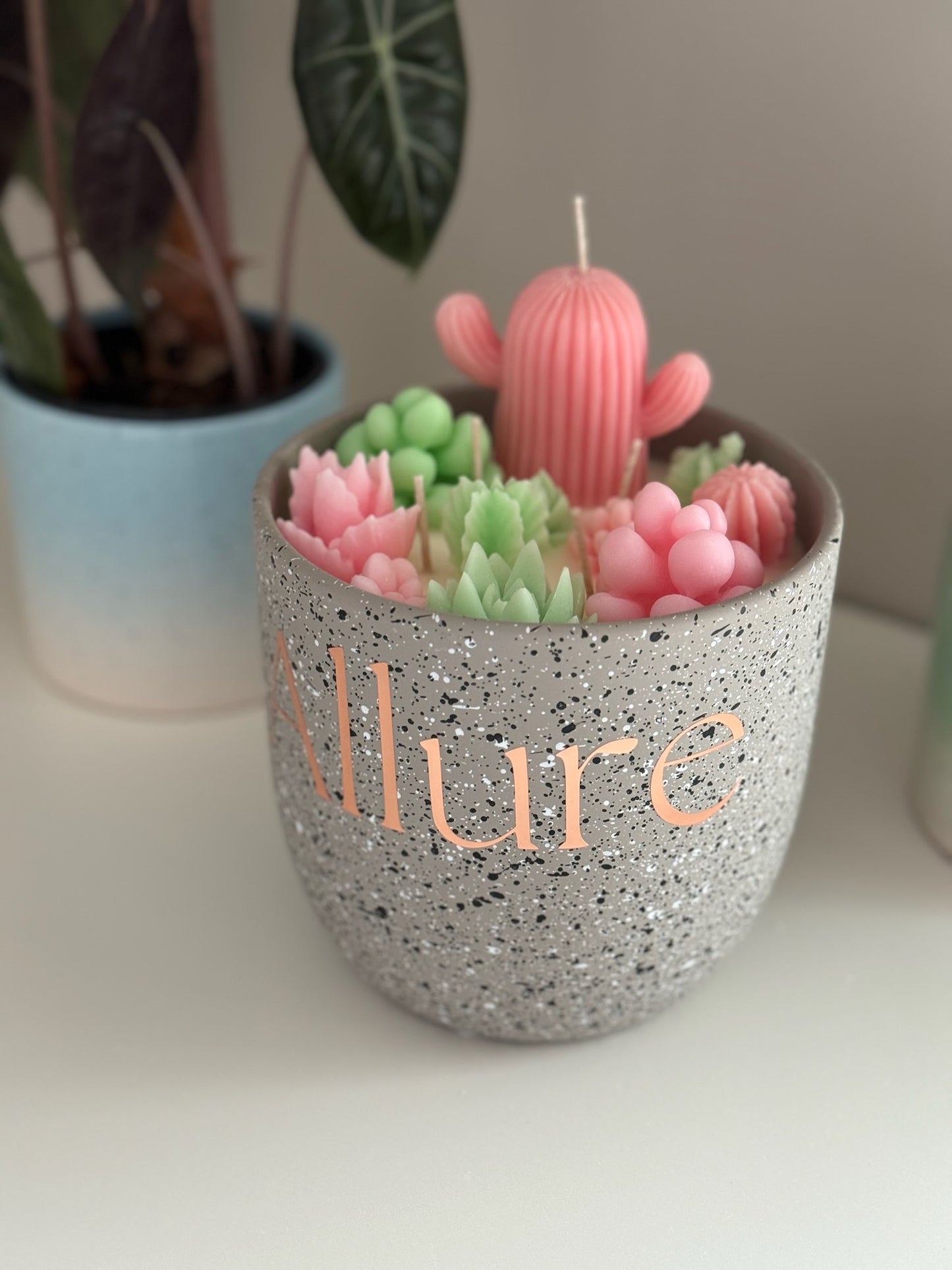 XL Succulent Garden Candle - Allure Wax Works