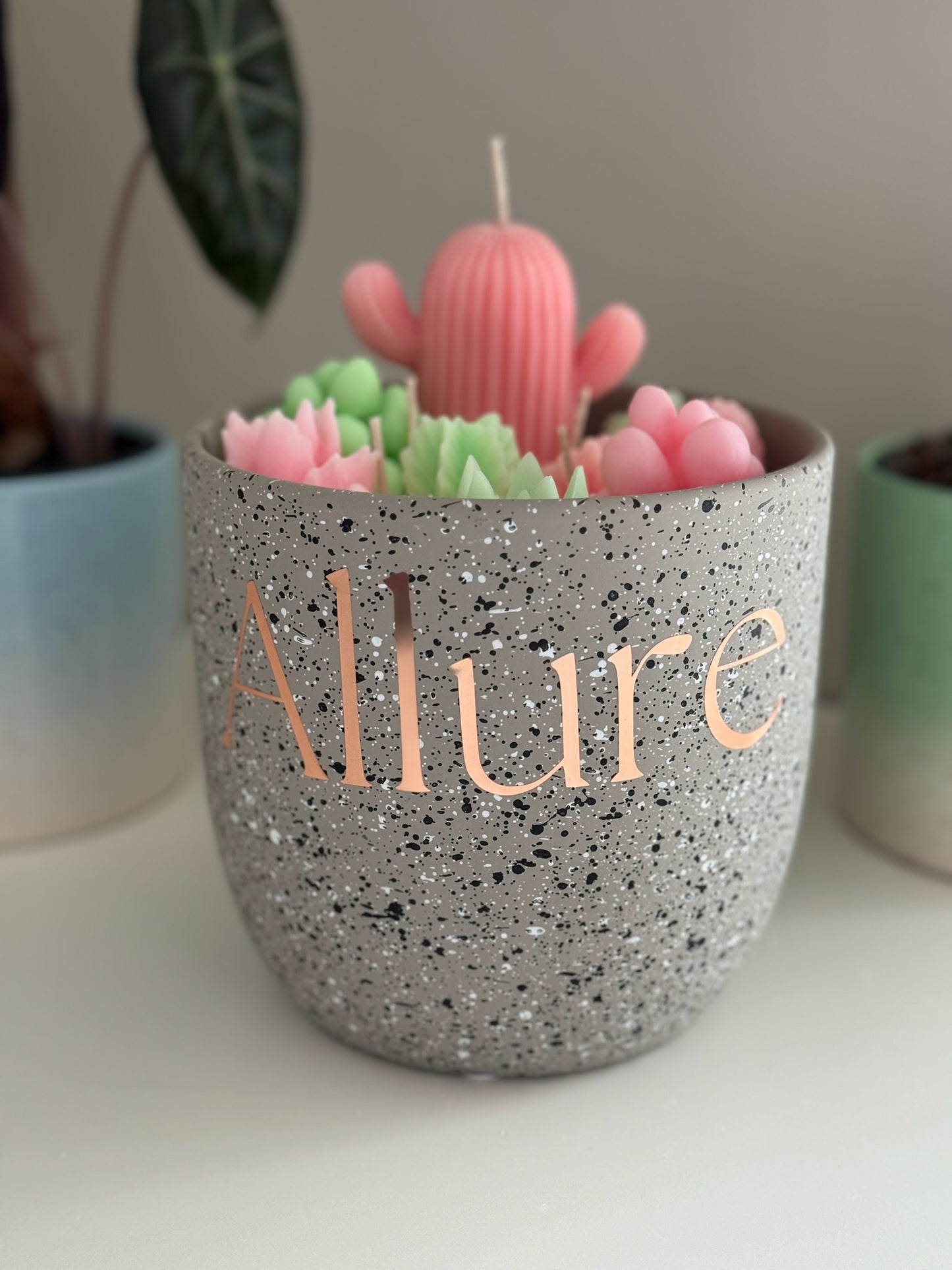 XL Succulent Garden Candle - Allure Wax Works