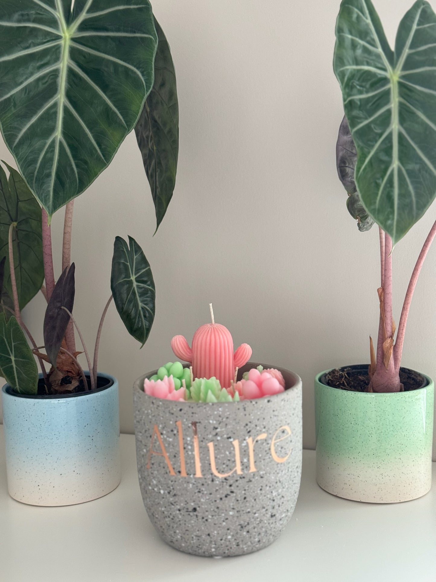 XL Succulent Garden Candle - Allure Wax Works