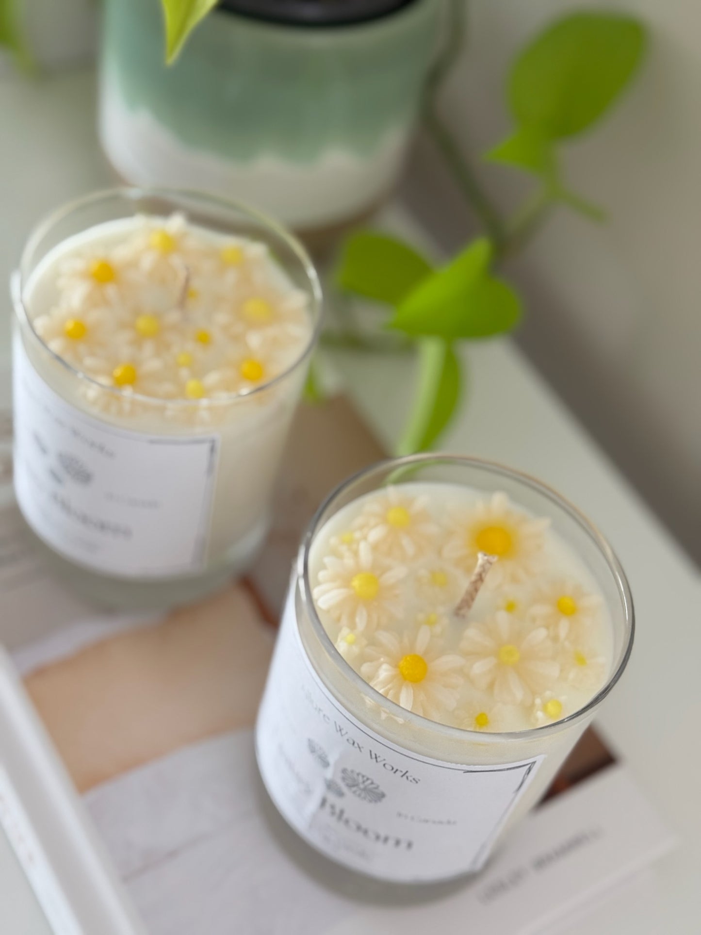 Daisy Bloom Container Candle - Allure Wax Works
