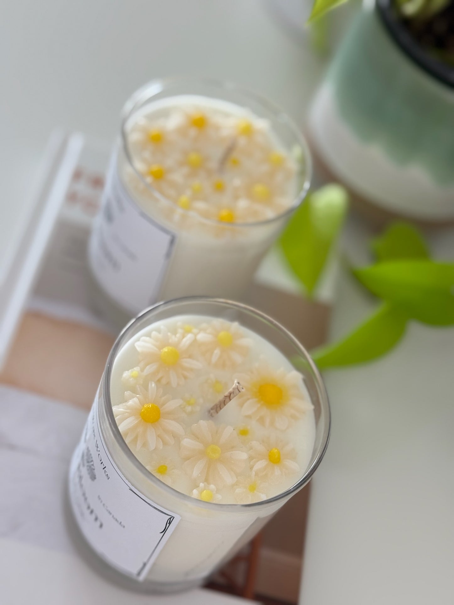 Daisy Bloom Container Candle - Allure Wax Works