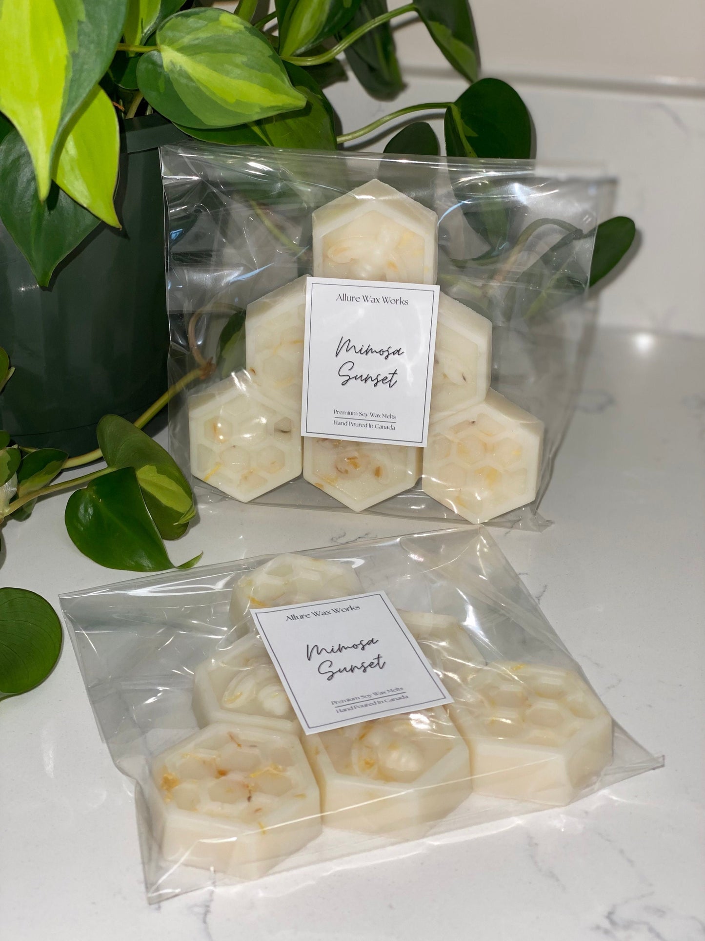 Mimosa Sunset All Natural Soy Wax Melts | Bee & Honeycomb Premium Botanical Wax Melts