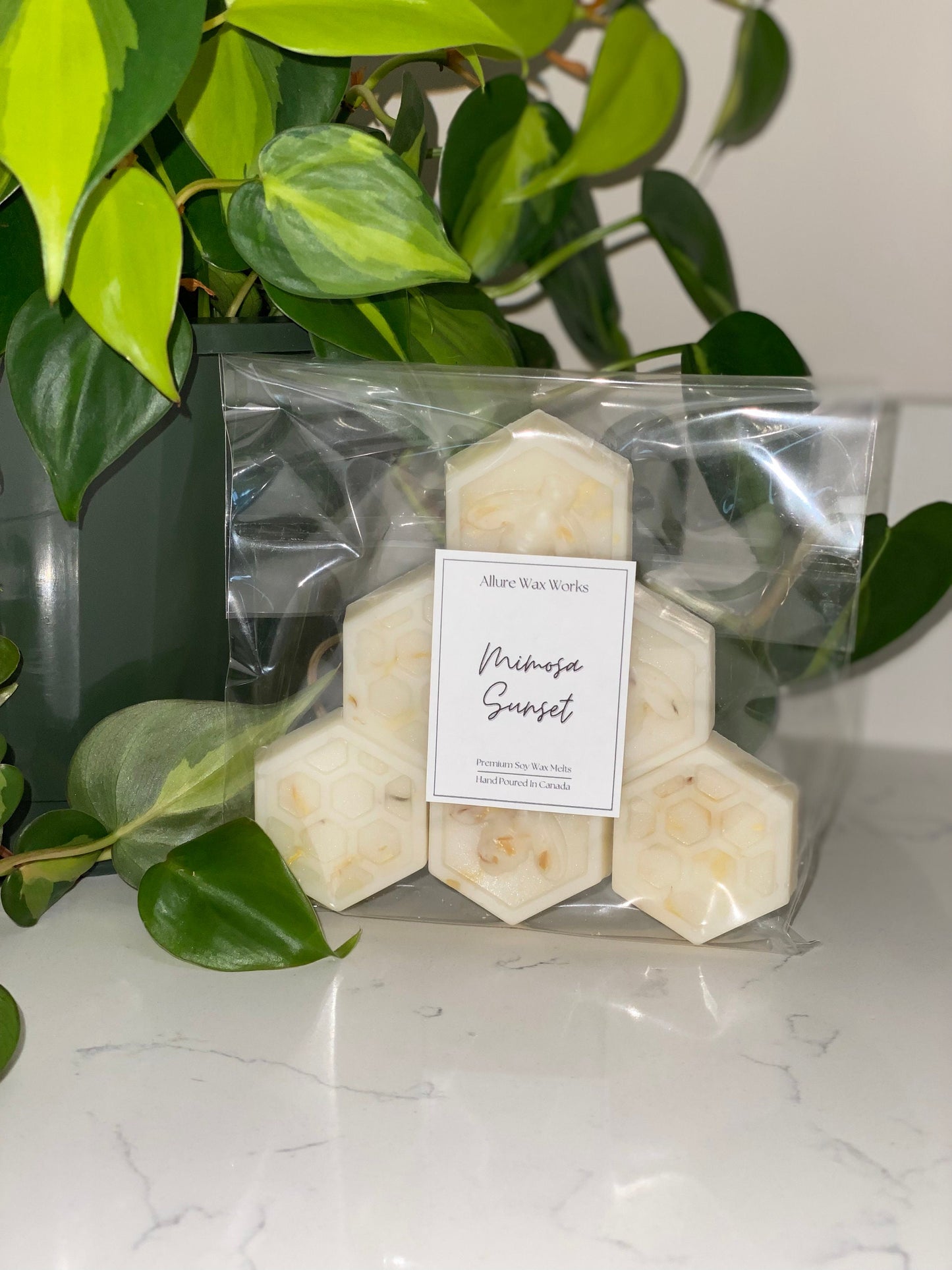 Mimosa Sunset All Natural Soy Wax Melts | Bee & Honeycomb Premium Botanical Wax Melts
