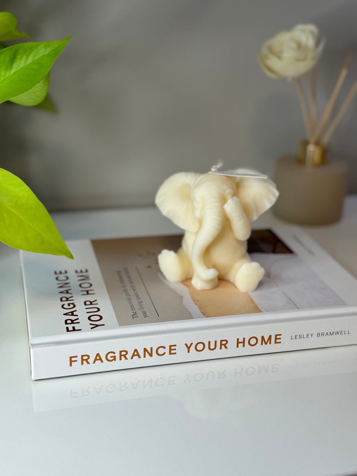 Elephant Candle - Allure Wax Works