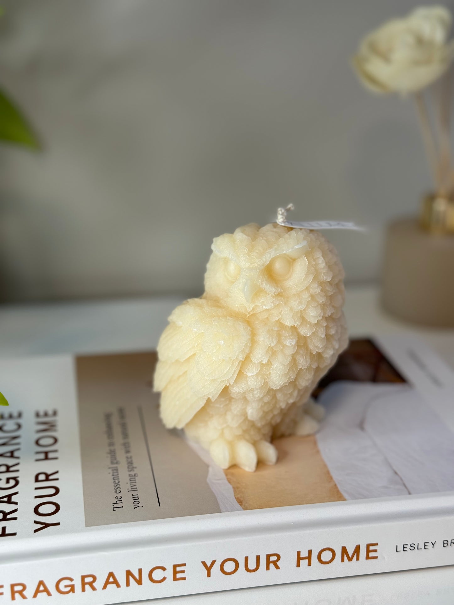 Owl Candle - Allure Wax Works