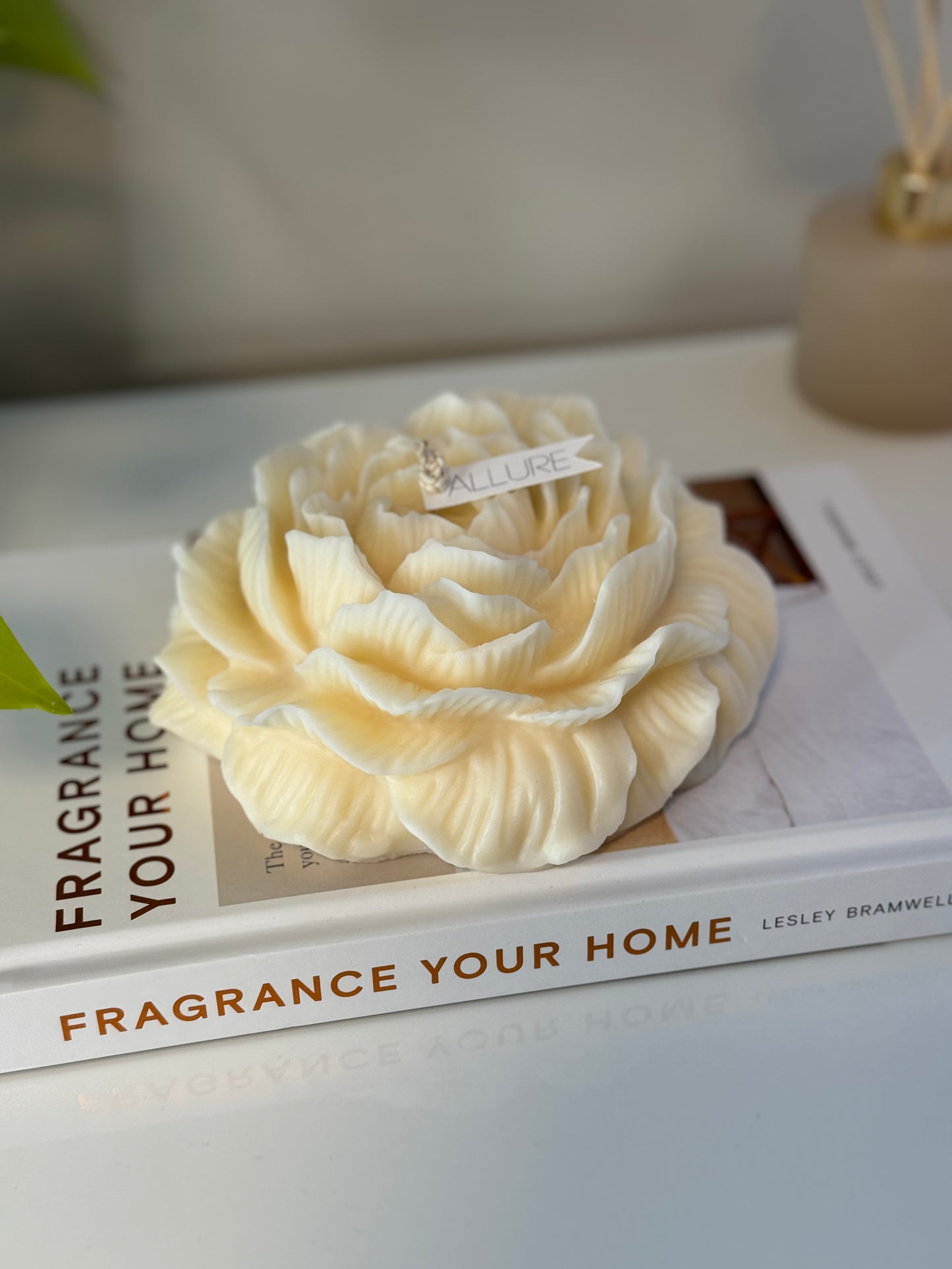 XL Peony Candle - Allure Wax Works