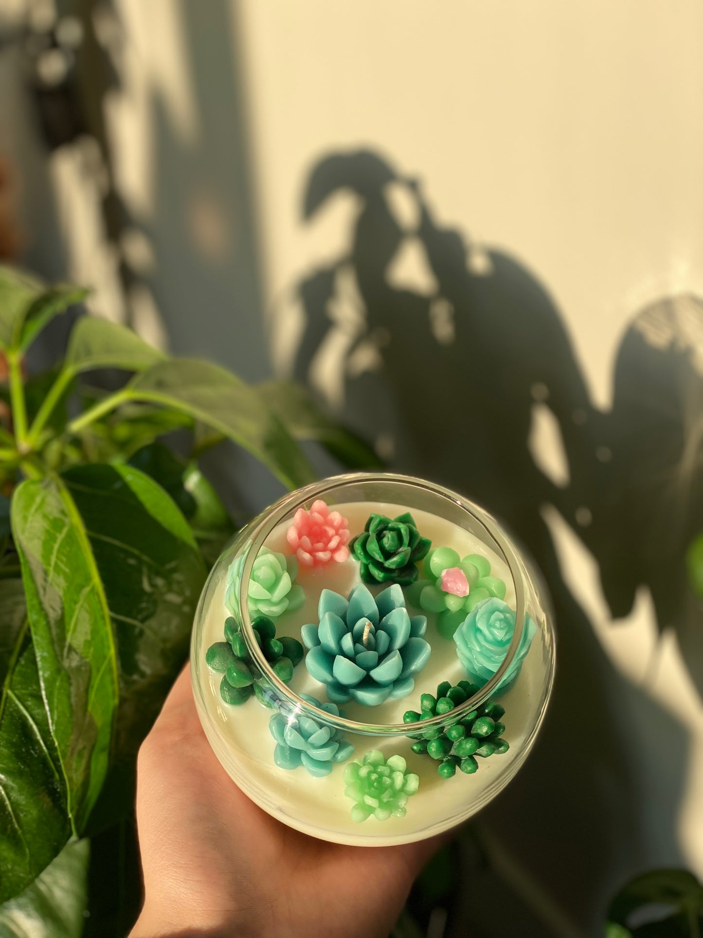 Succulent Garden Candle - Allure Wax Works