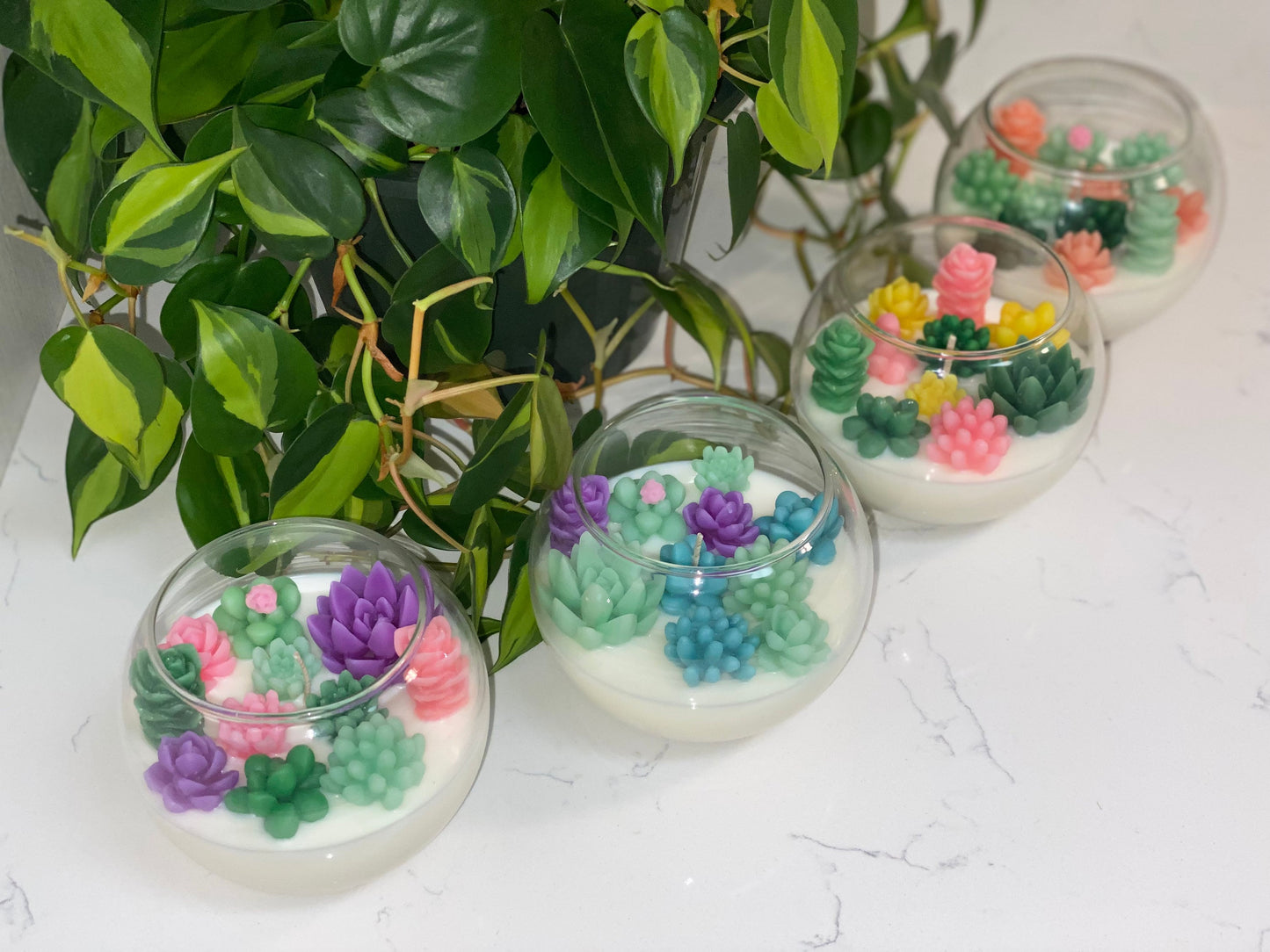 Succulent Garden Candle | Terrarium All Natural Soy Candle