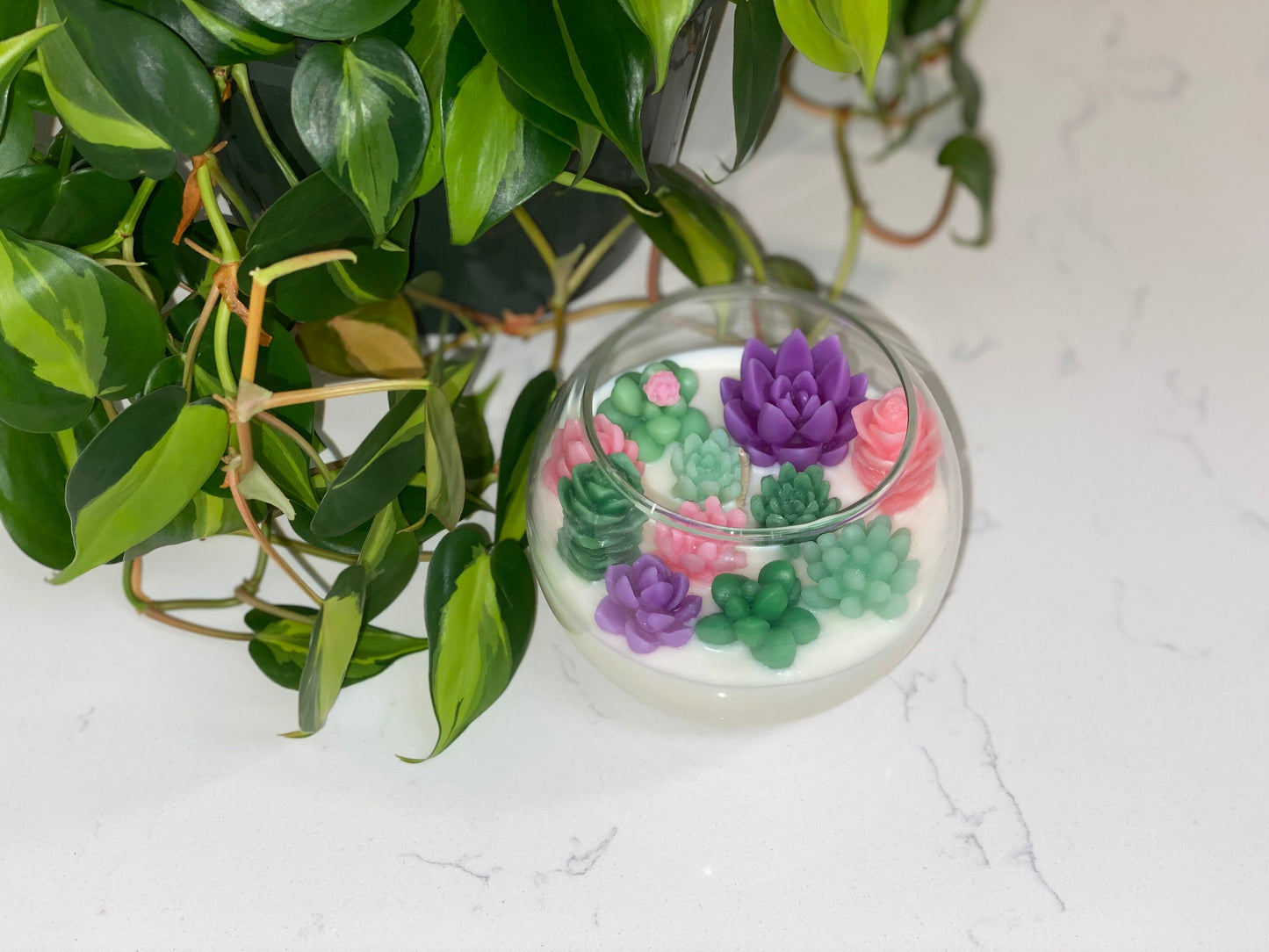 Succulent Garden Candle | Terrarium All Natural Soy Candle