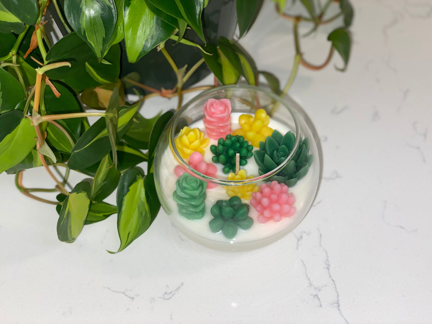 Succulent Garden Candle | Terrarium All Natural Soy Candle