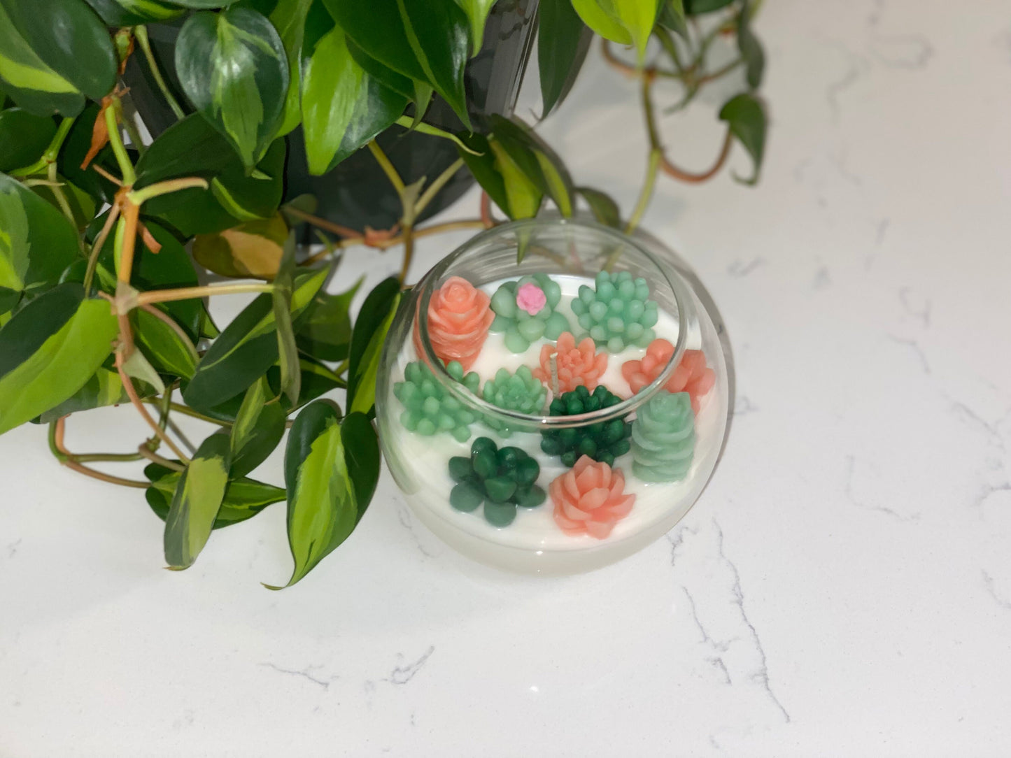 Succulent Garden Candle | Terrarium All Natural Soy Candle