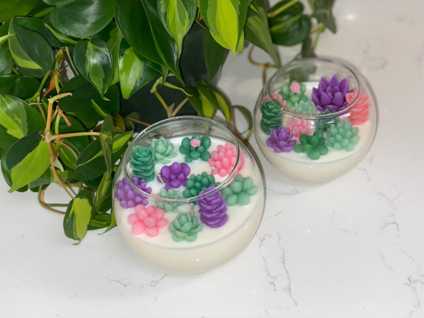 Succulent Garden Candle | Terrarium All Natural Soy Candle