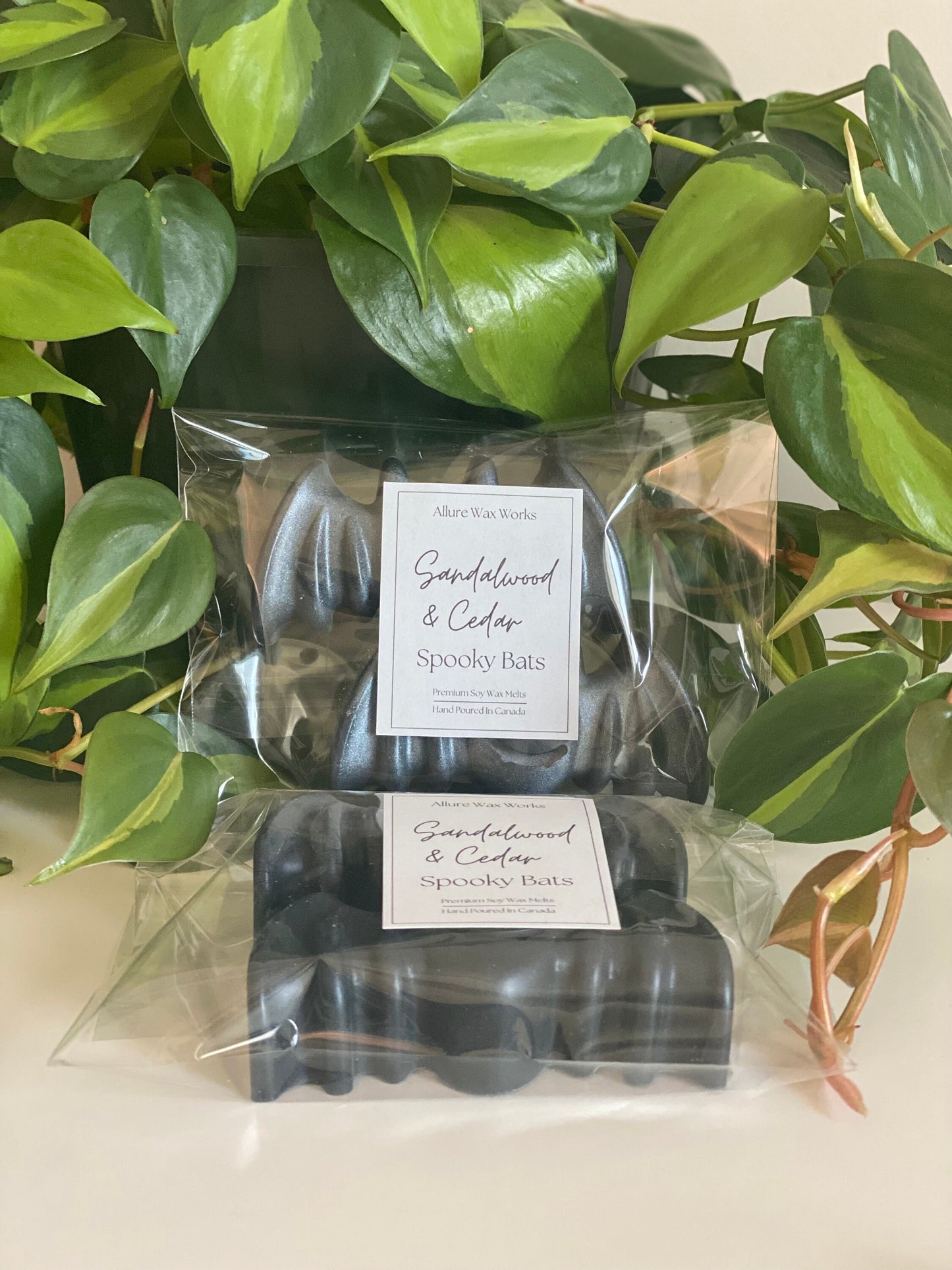 Large Cedar & Sandalwood Spooky Bat Wax Melts - Limited Edition