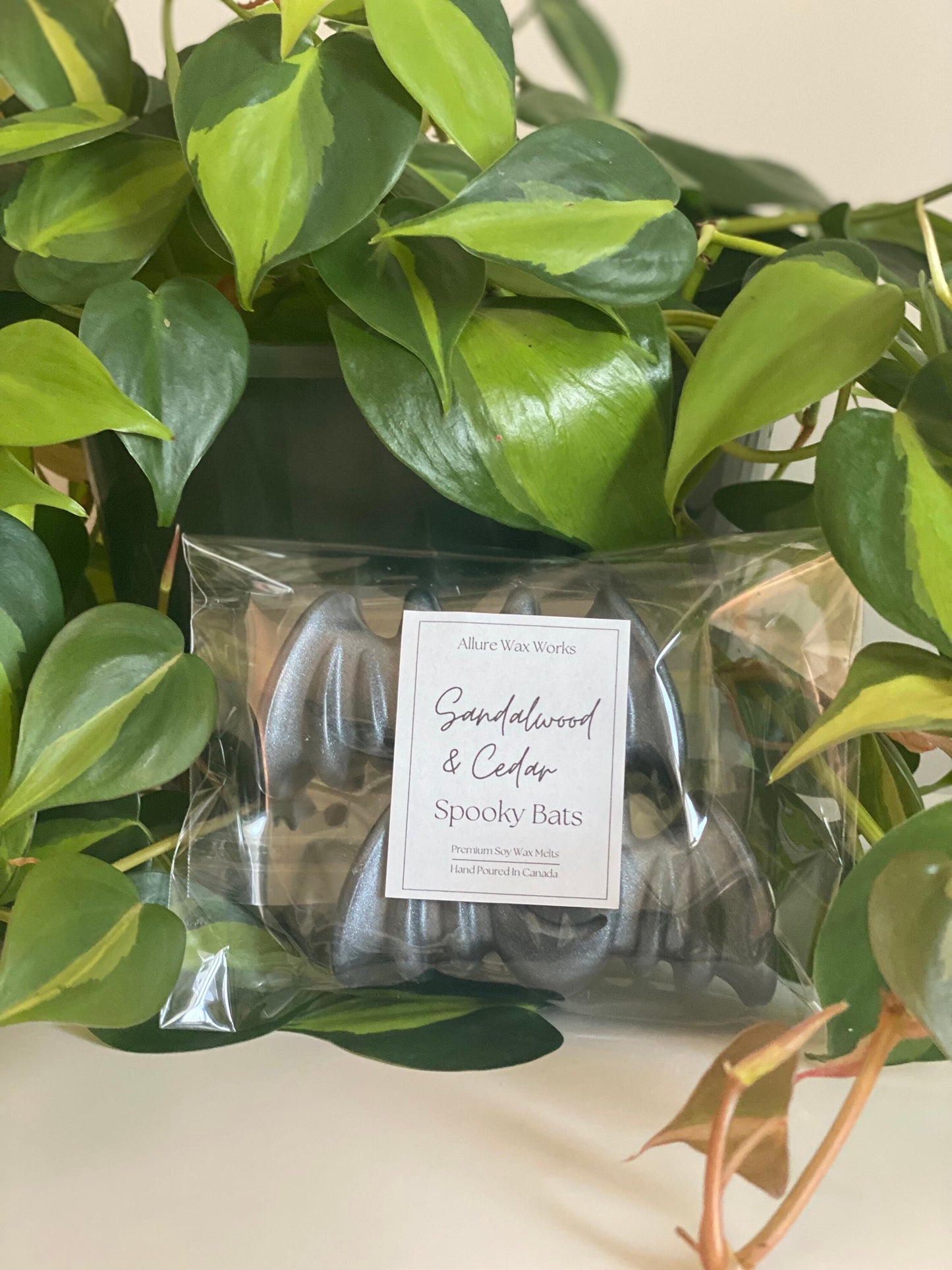 Large Cedar & Sandalwood Spooky Bat Wax Melts - Limited Edition