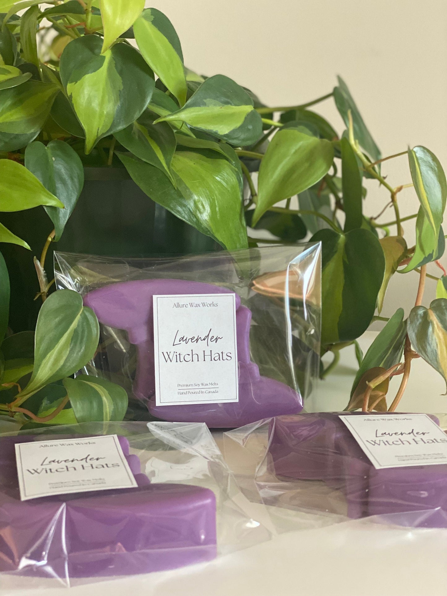 Large Lavender Witch Hat All Natural Soy Wax Melts - Limited Edition