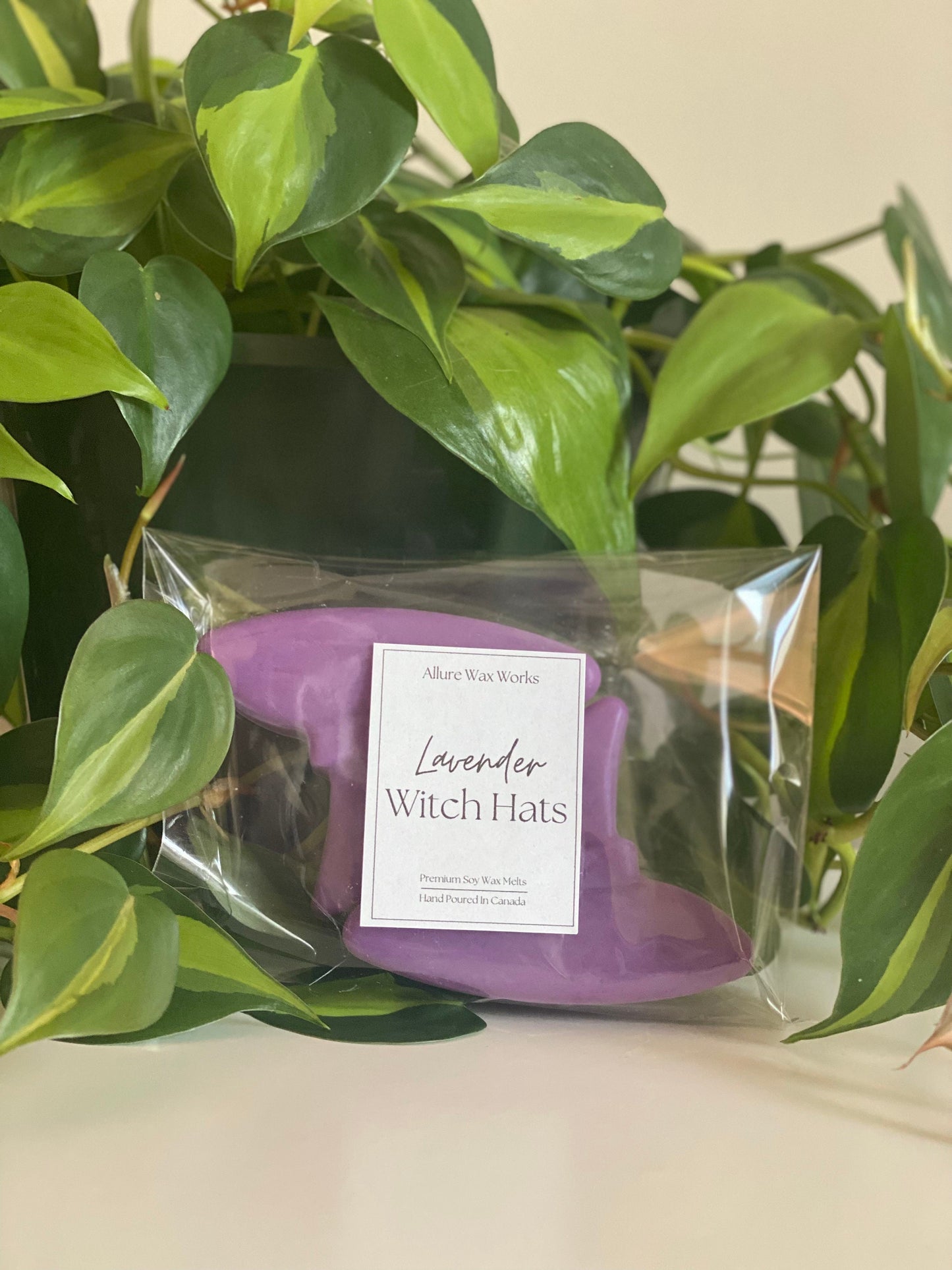 Large Lavender Witch Hat All Natural Soy Wax Melts - Limited Edition