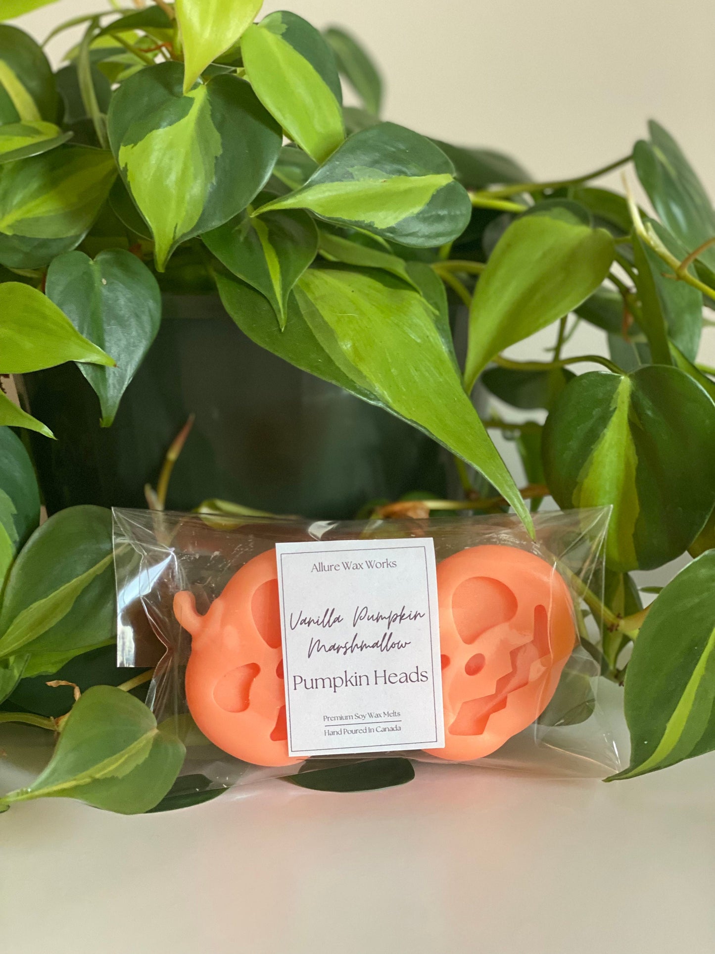 Large Vanilla Pumpkin Marshmallow Pumpkin Head Wax Melts - Limited Edition