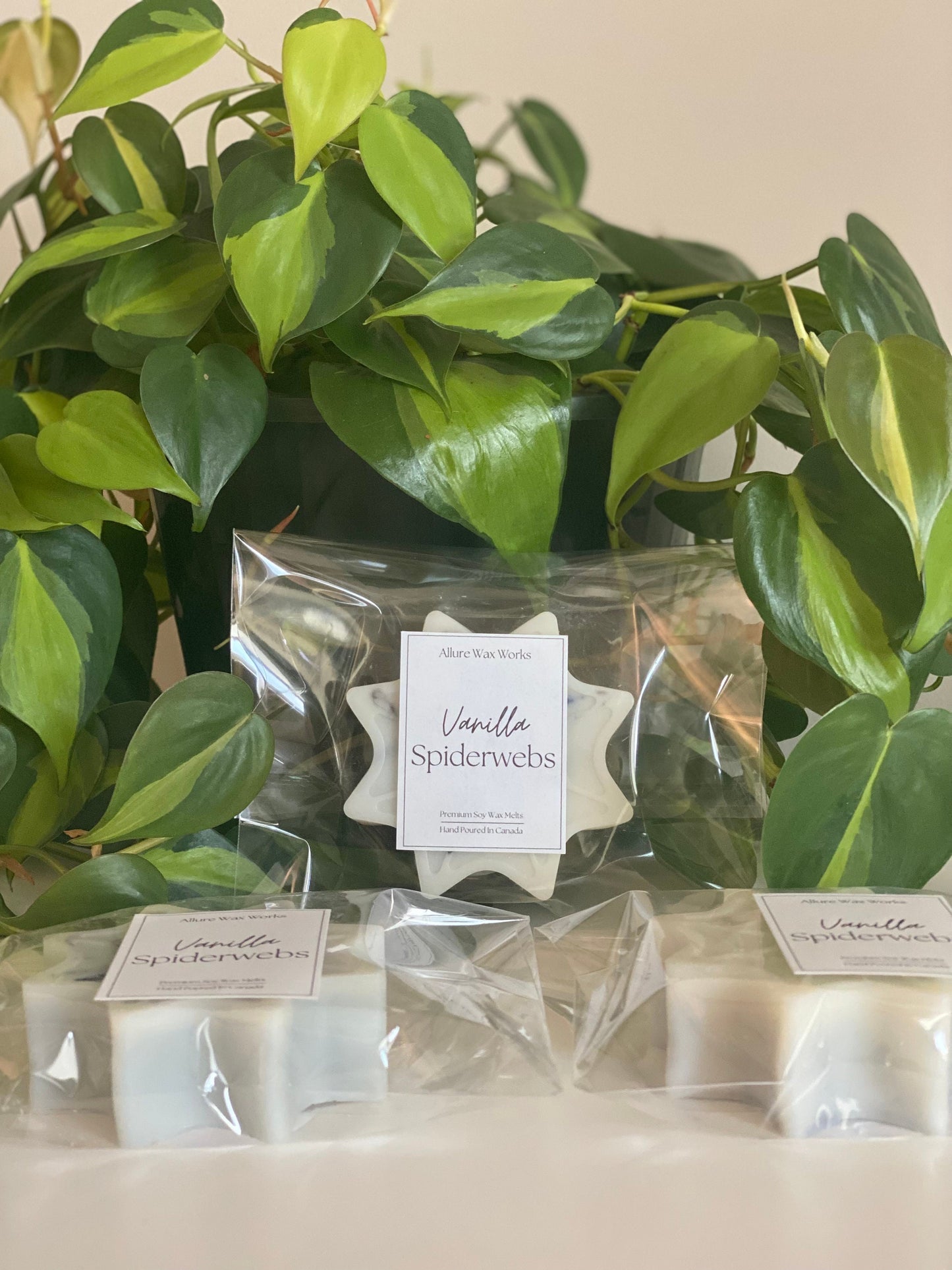 Large Vanilla Spiderweb Wax Melts