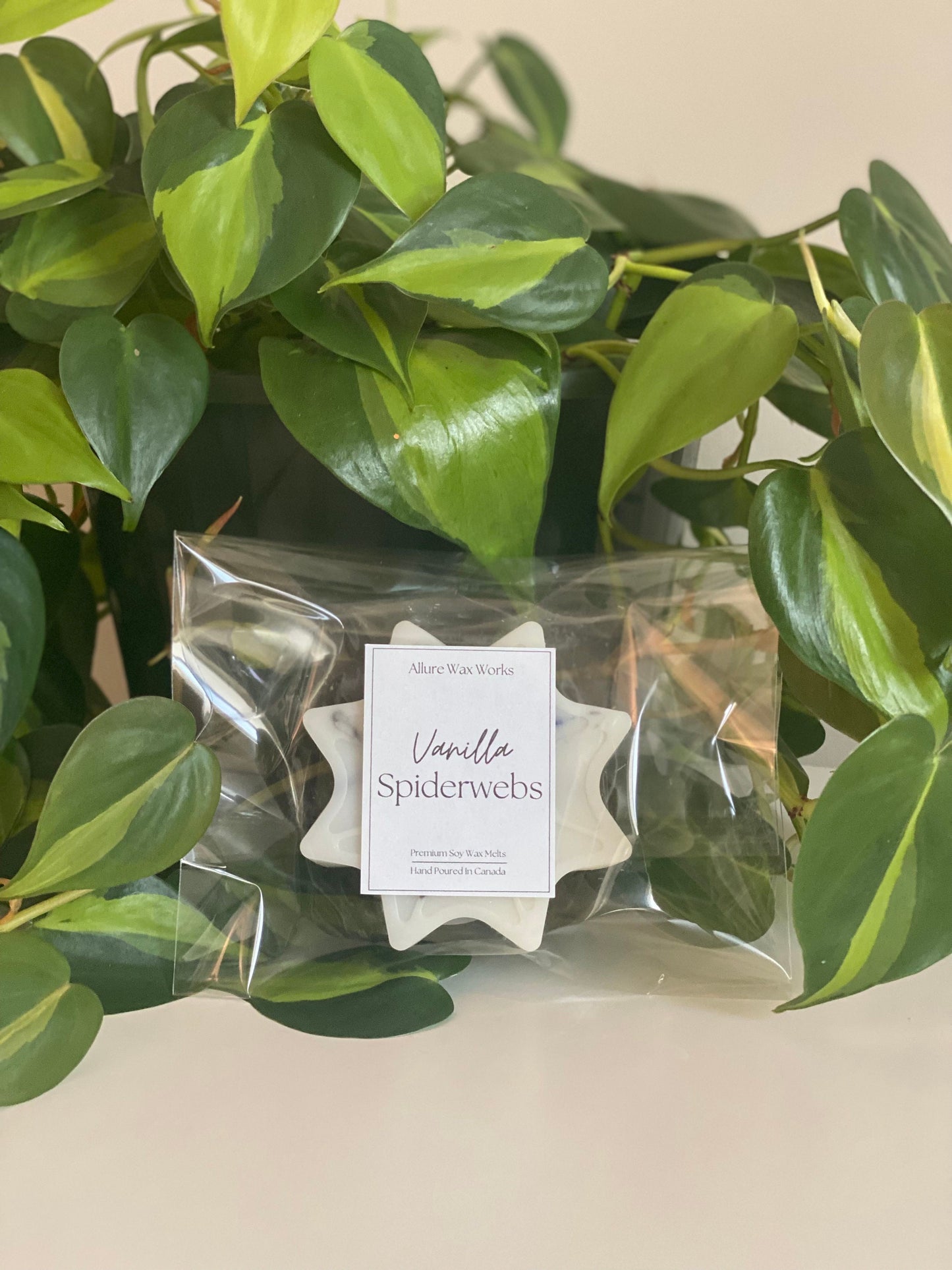 Large Vanilla Spiderweb Wax Melts