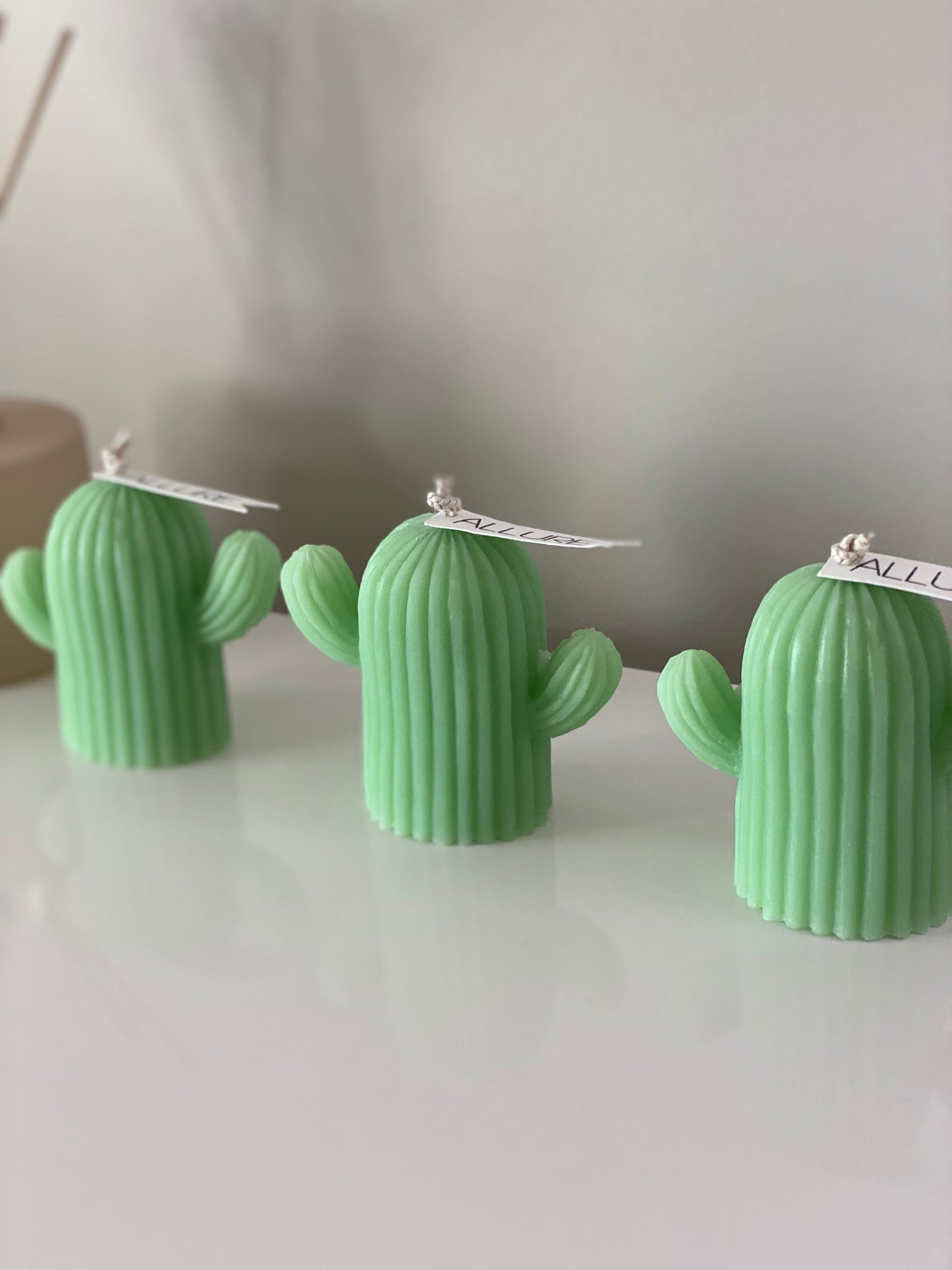 Large Cactus Candle | Freestanding Desert Cactus Plant Candle | Natural Soy Wax Candle