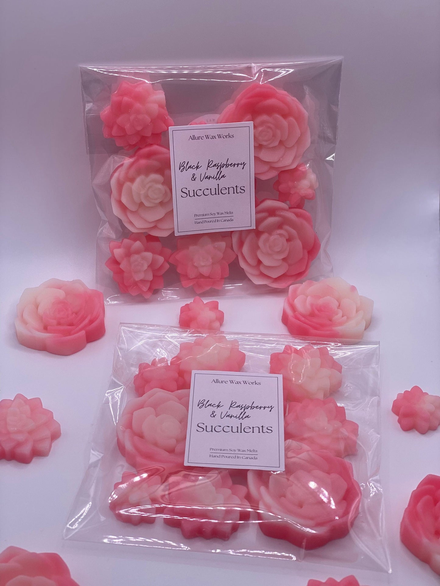 Black Raspberry & Vanilla Succulents Wax Melts