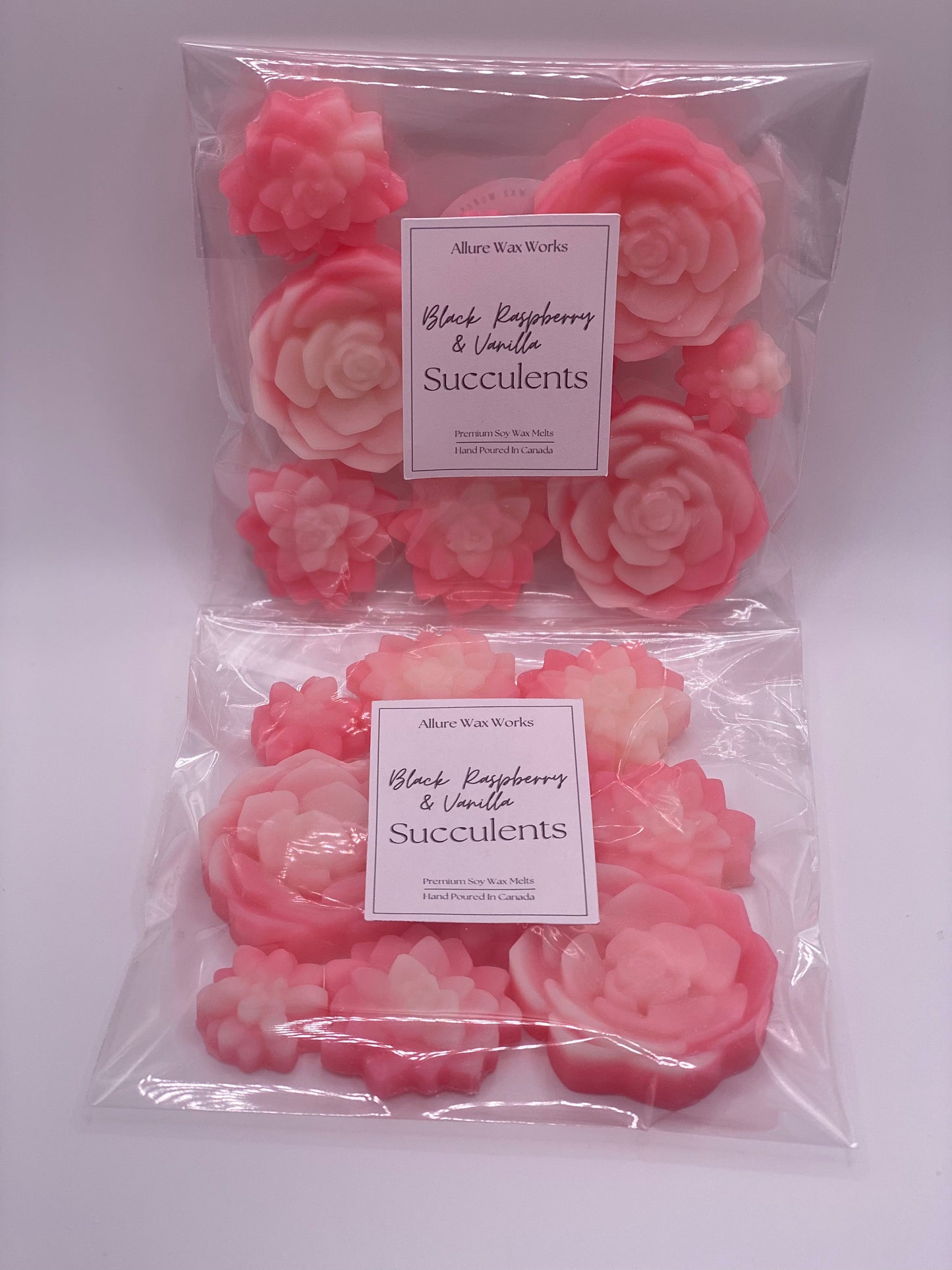 Black Raspberry & Vanilla Succulents Wax Melts