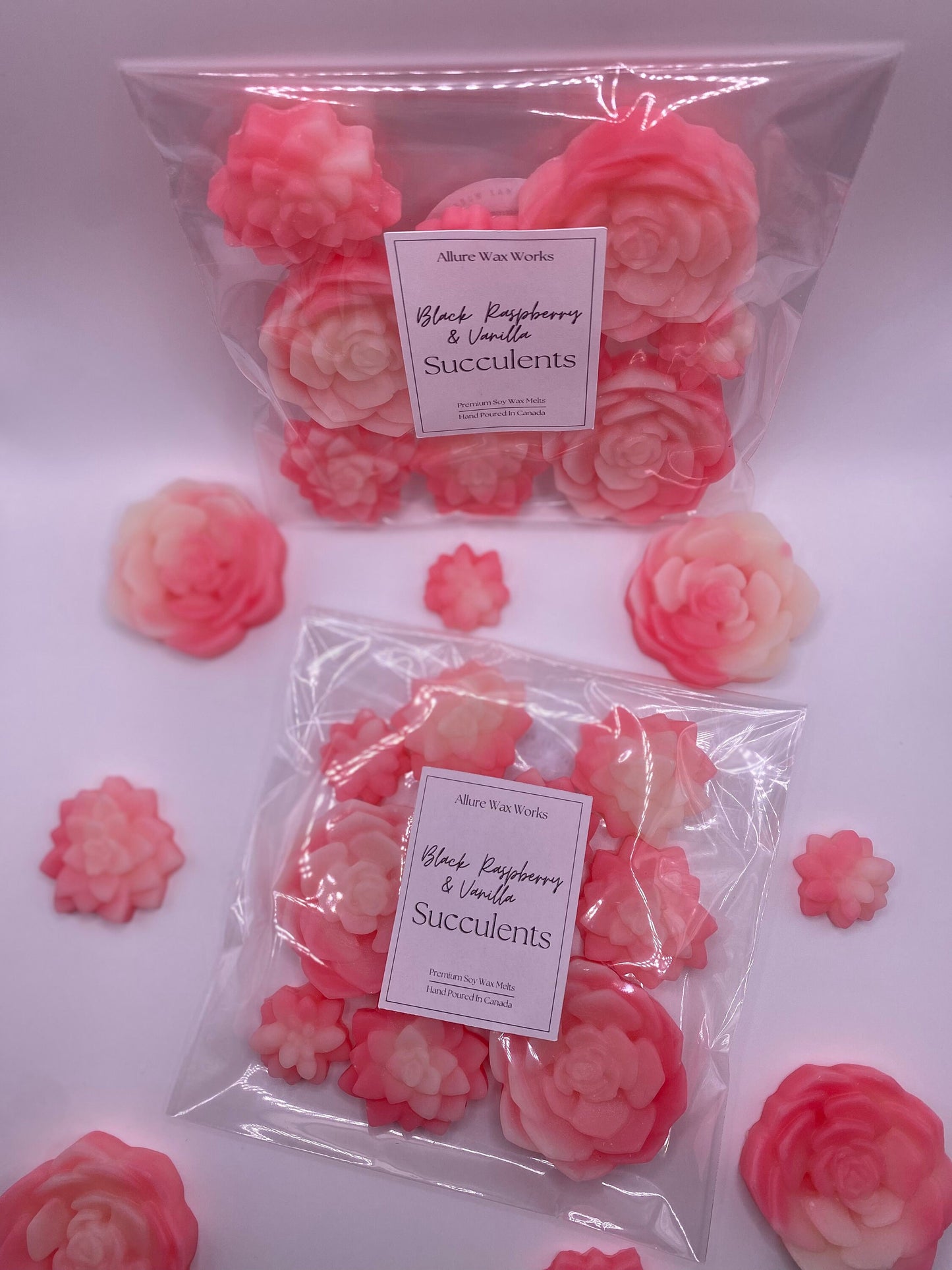 Black Raspberry & Vanilla Succulents Wax Melts