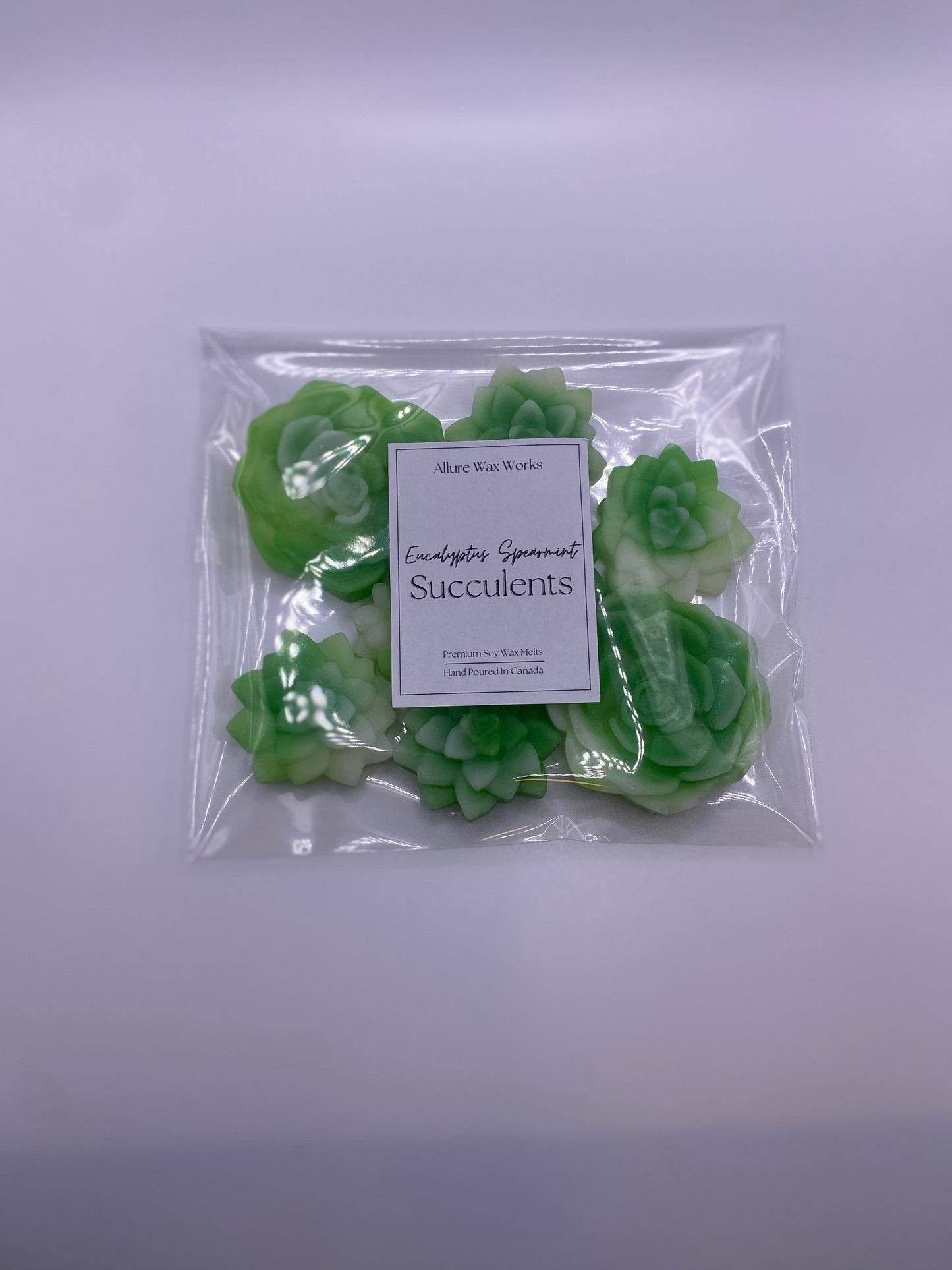 Eucalyptus Spearmint Succulents Wax Melts
