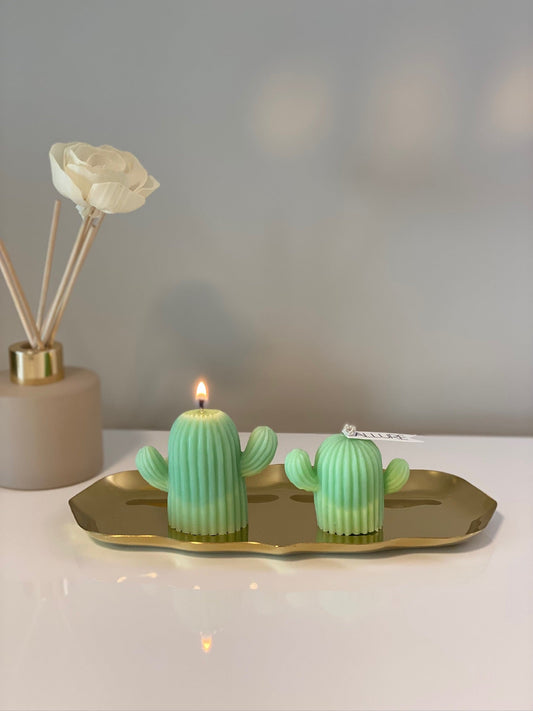 Creating Ambiance: How Allure Wax Works Transforms Spaces