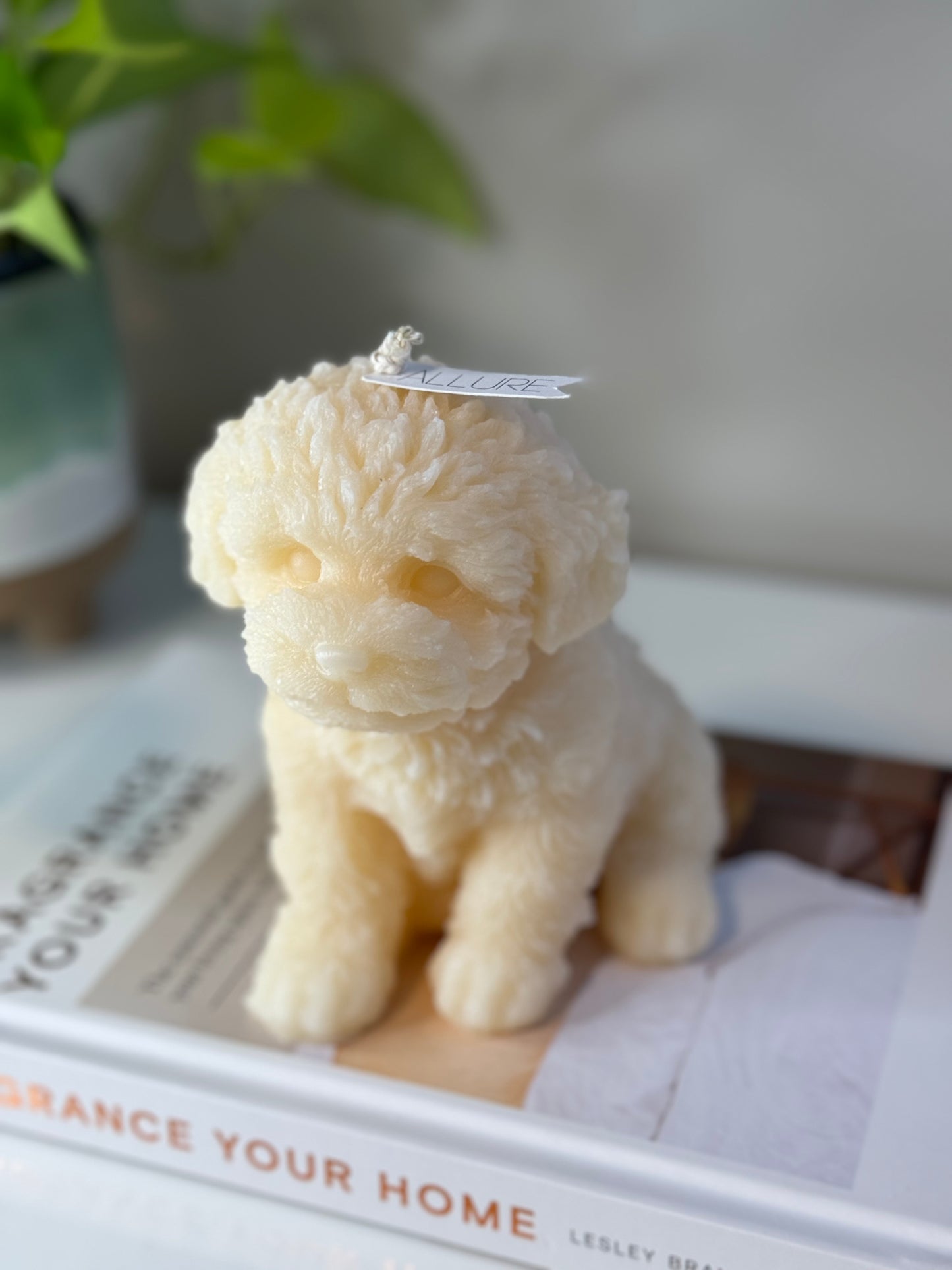 XL Teddy Dog Candle