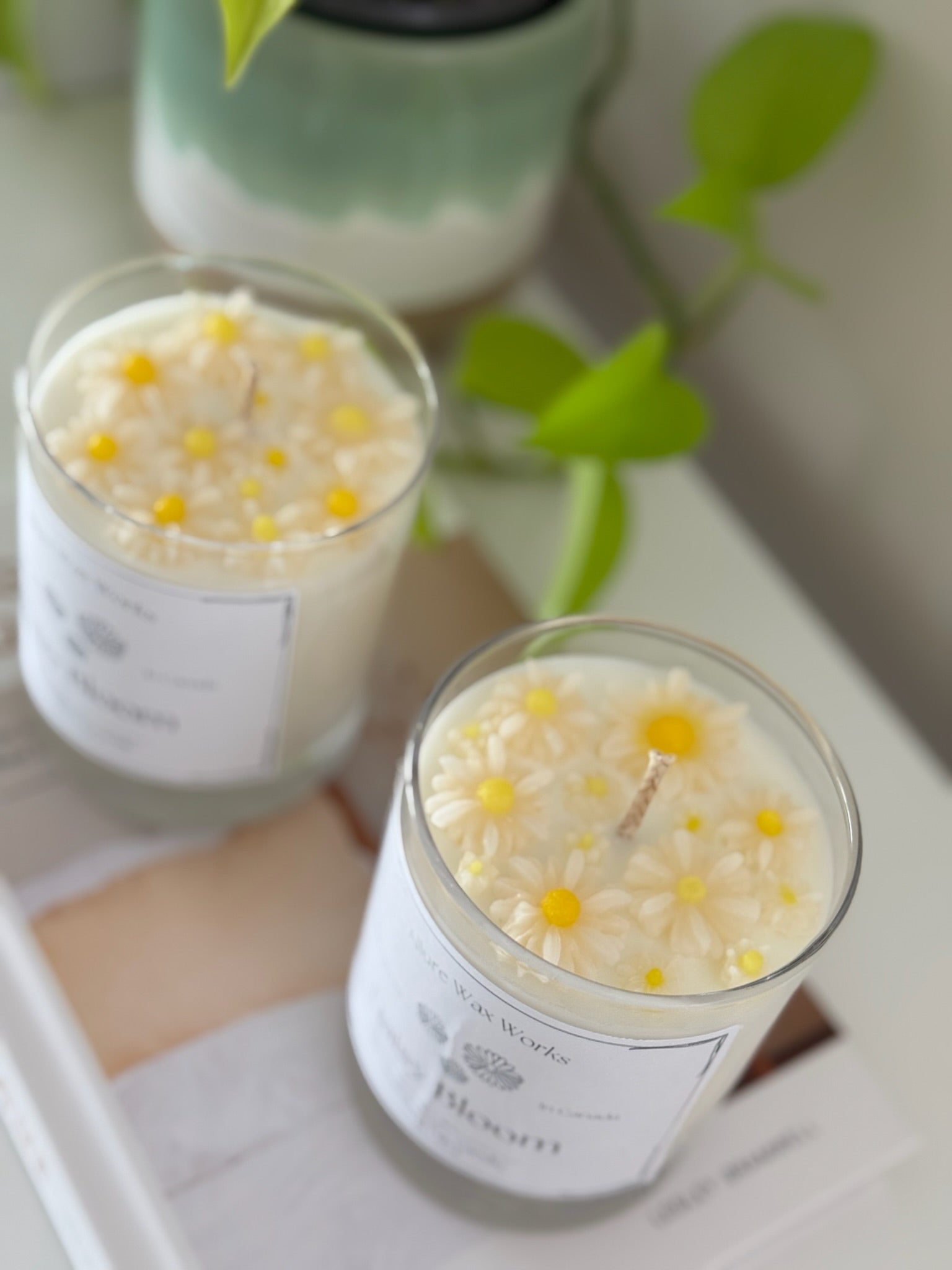 Daisy Bloom Container Candle - Allure Wax Works