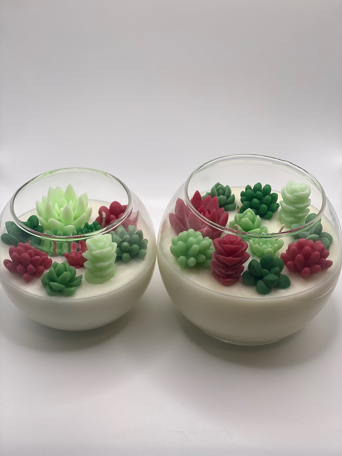 Christmas Succulent Garden Candle - Limited Edition - Allure Wax Works