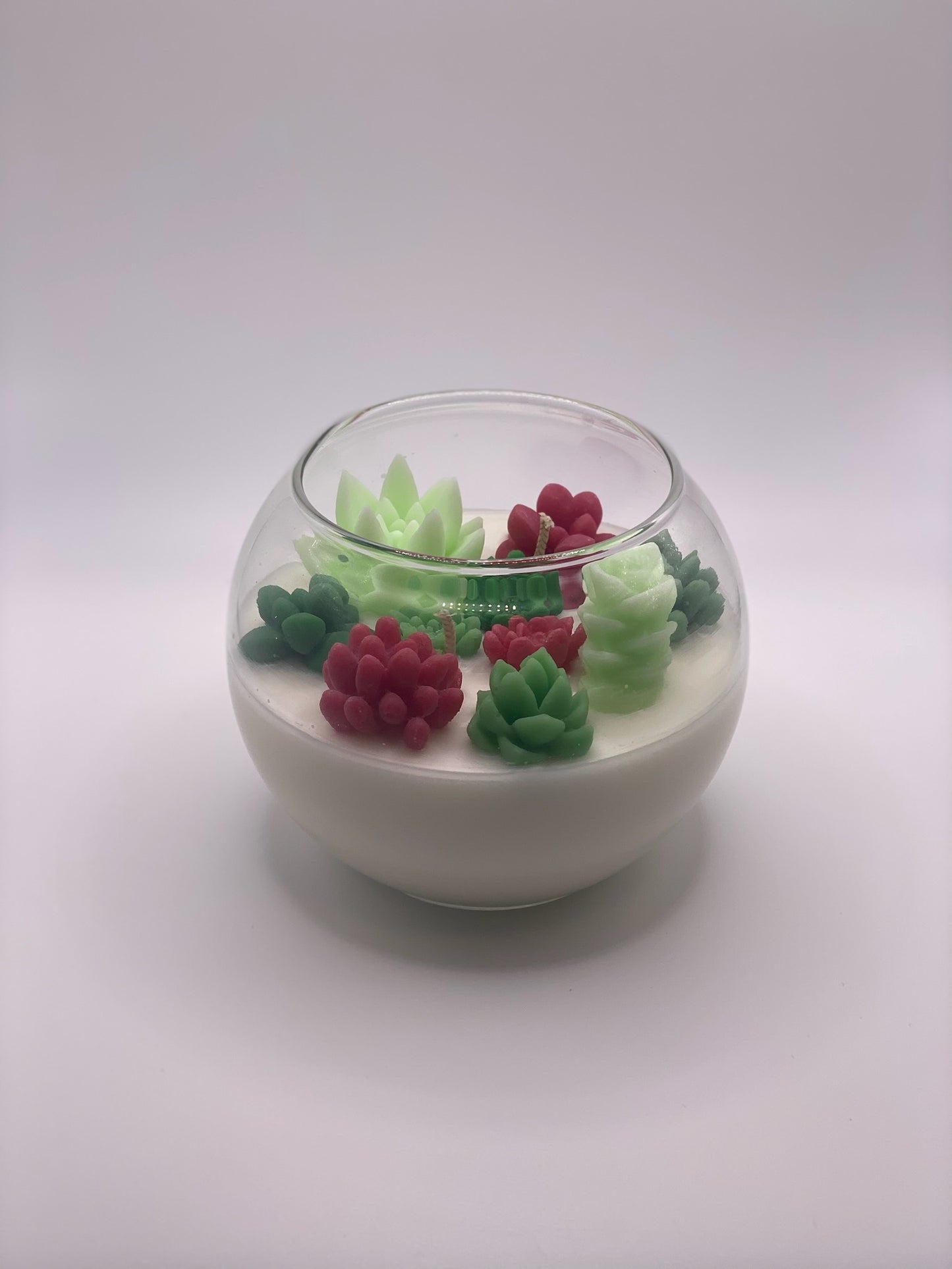 Christmas Succulent Garden Candle - Limited Edition - Allure Wax Works