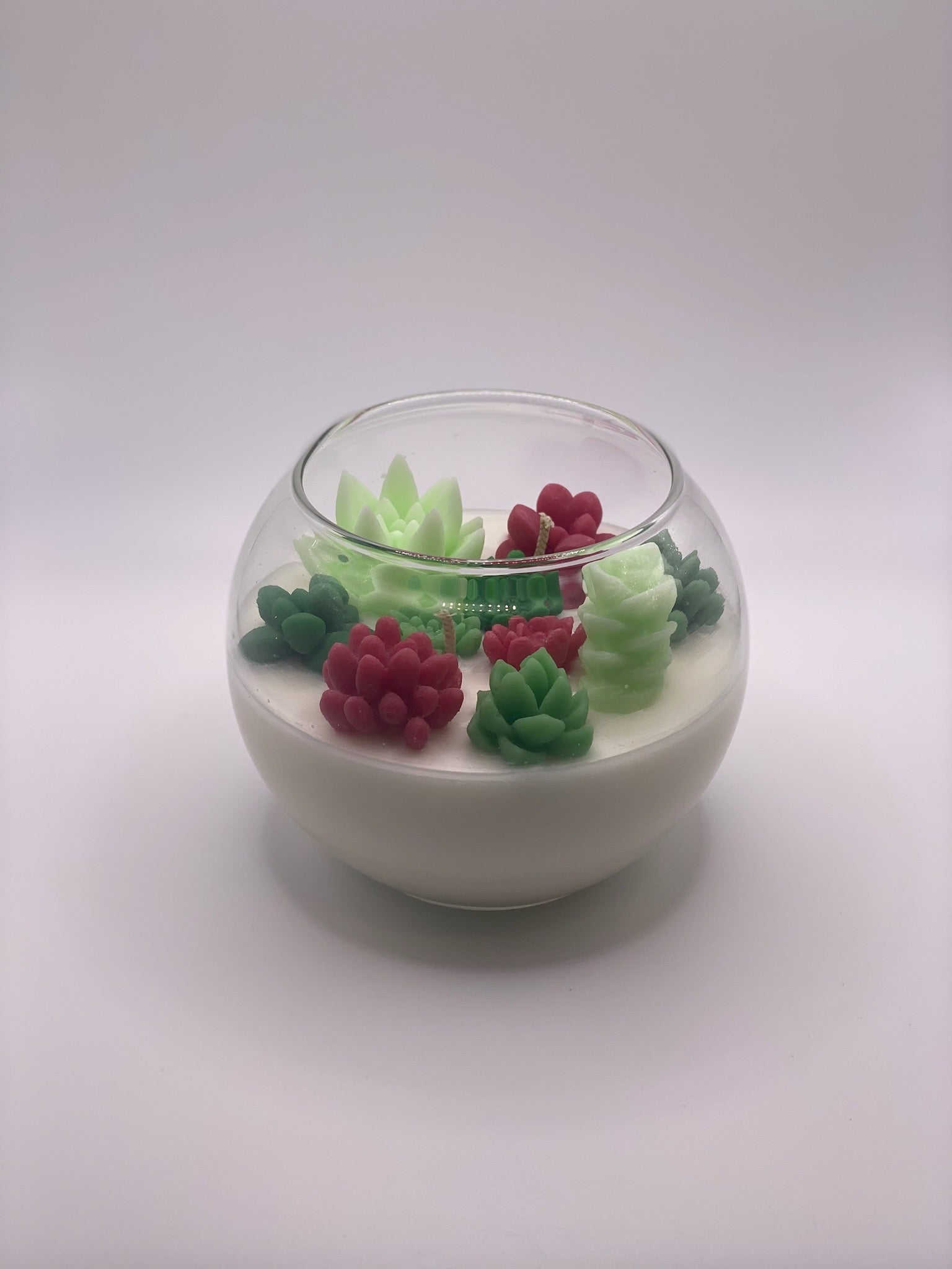 Christmas Succulent Garden Candle - Limited Edition - Allure Wax Works