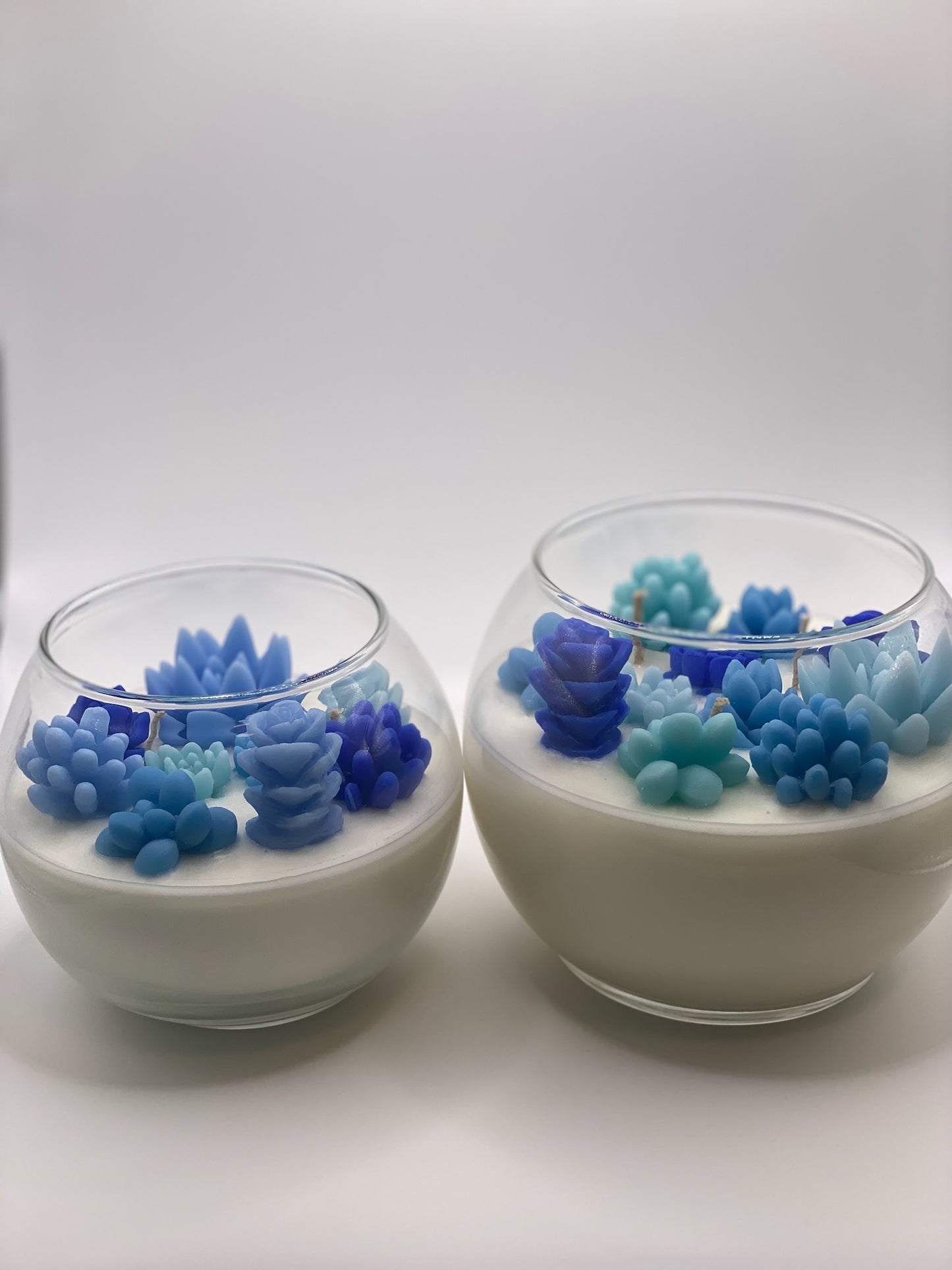 Winter Succulent Garden Candle - Limited Edition - Allure Wax Works