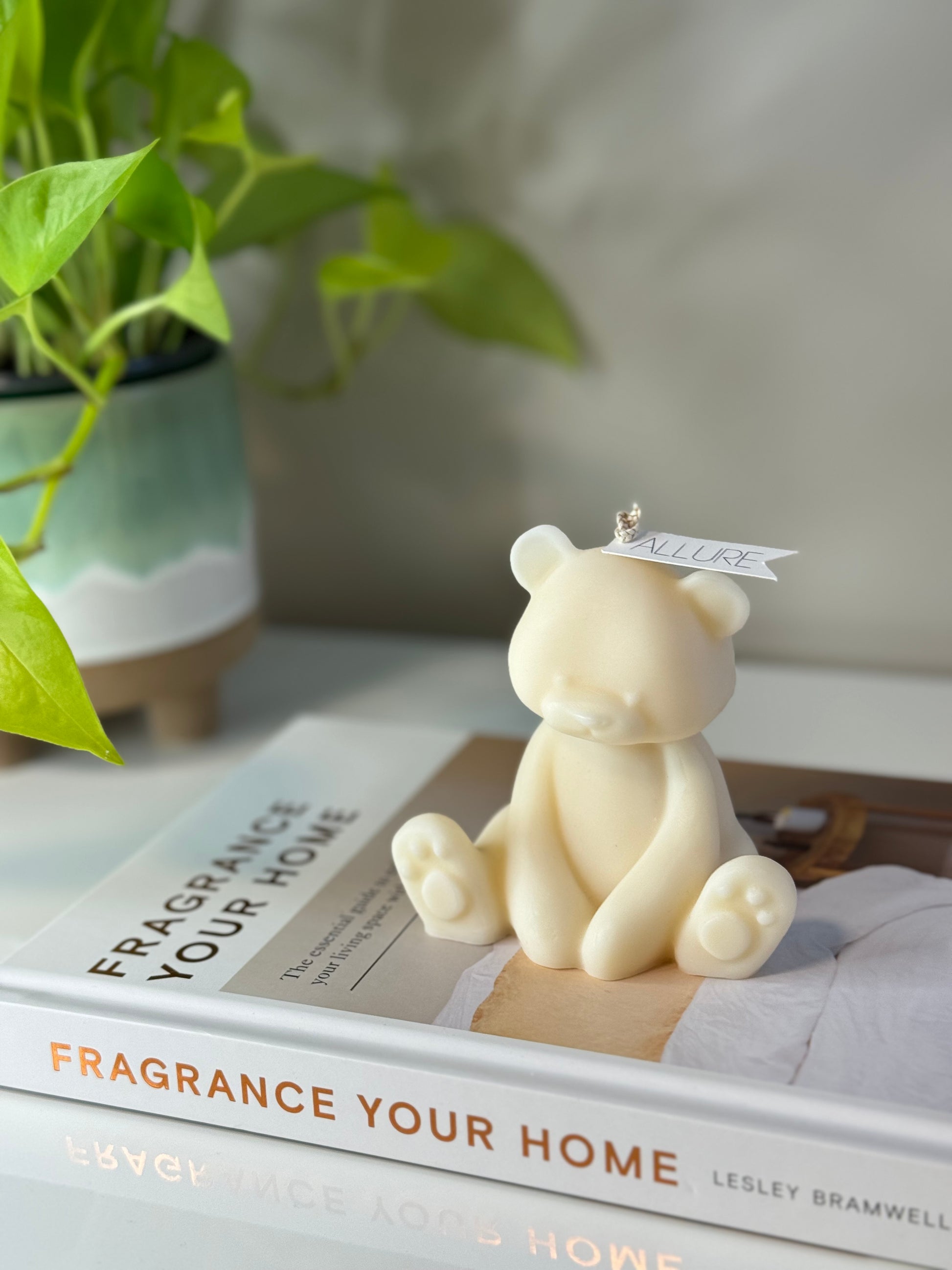 Sitting Teddy Candle - Allure Wax Works