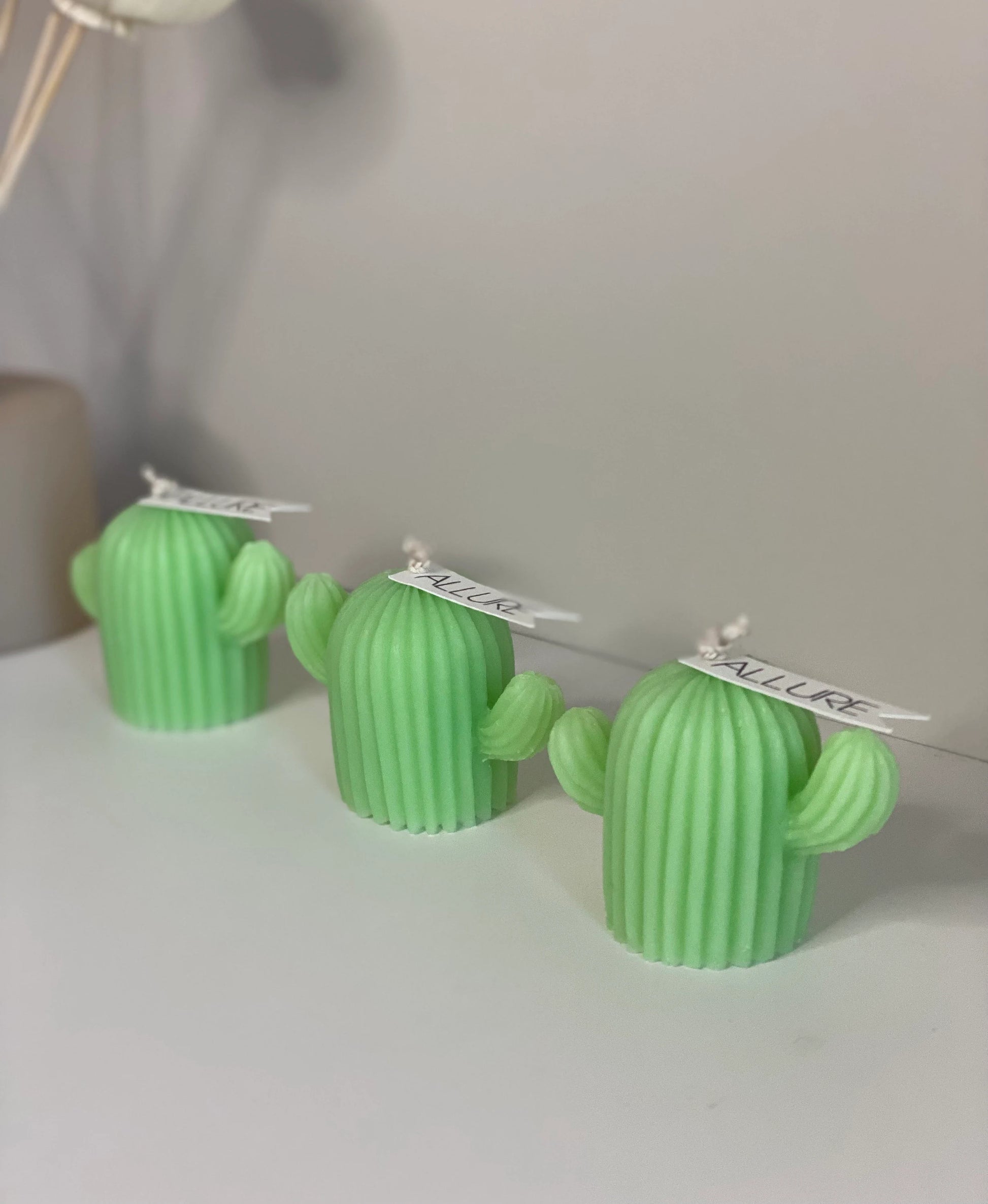 Cactus Candle - Allure Wax Works