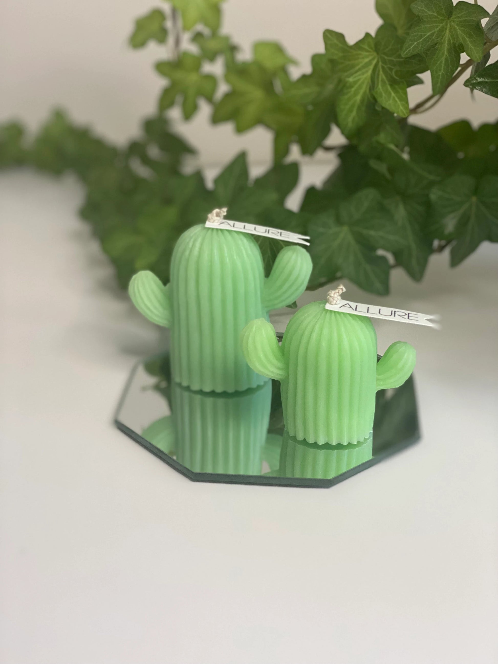 Cactus Candle - Allure Wax Works