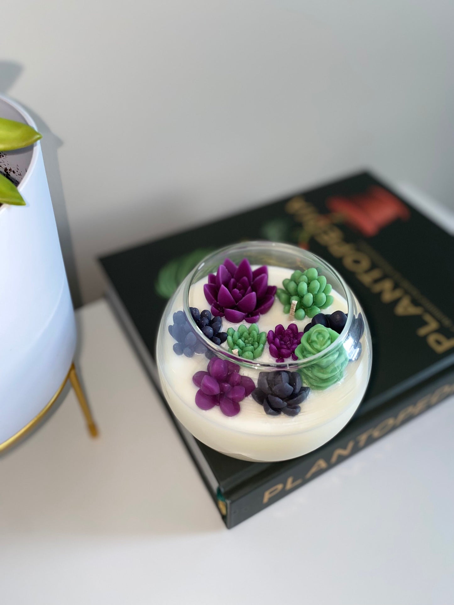 Halloween Succulent Garden Candle | Large & Small Spooky Season Terrarium Natural Soy Candle