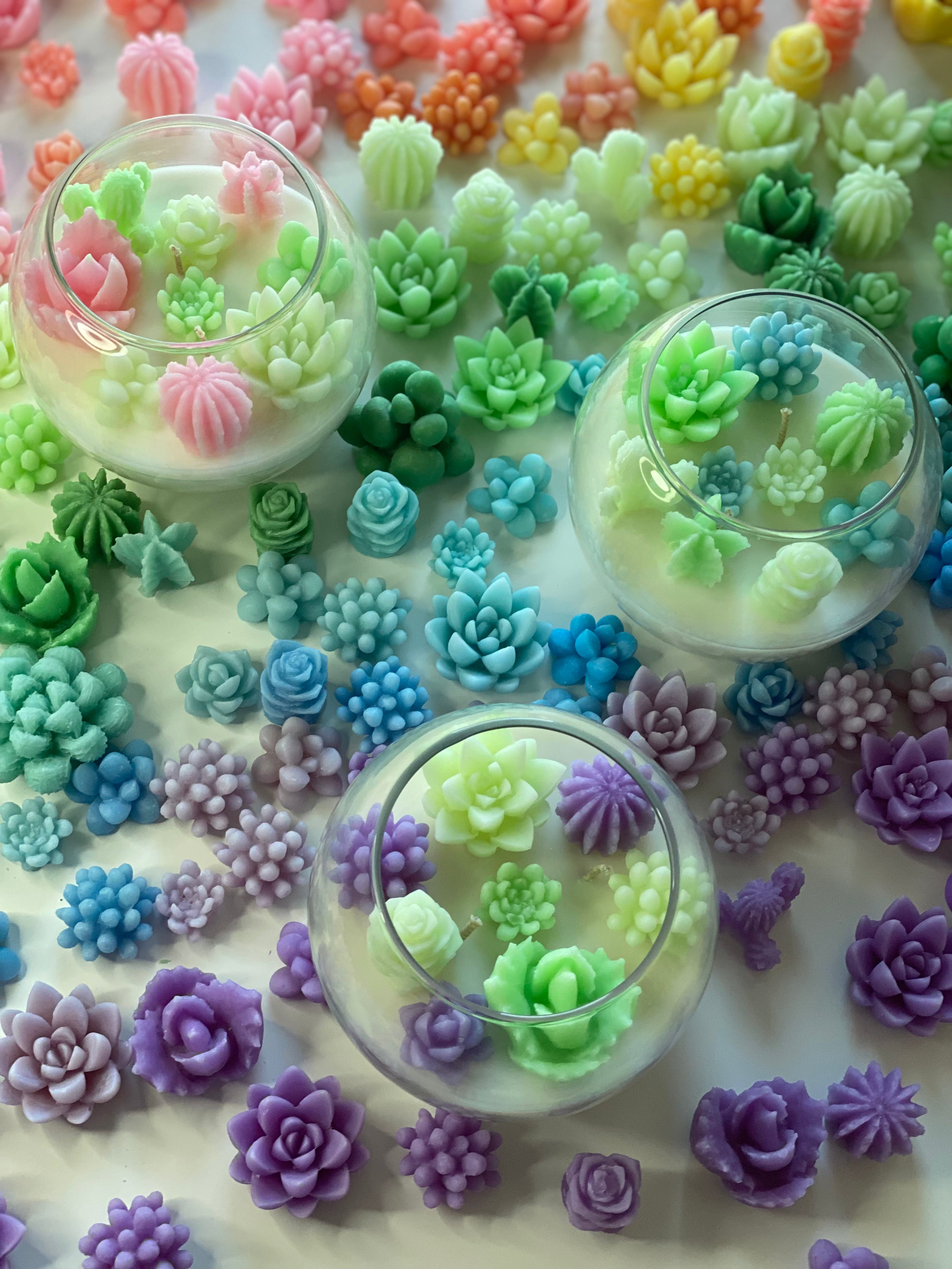 Succulent Garden Candle - Allure Wax Works