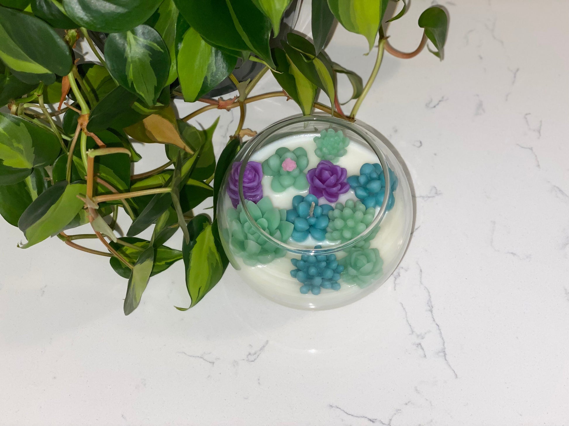 Succulent Garden Candle | Terrarium All Natural Soy Candle