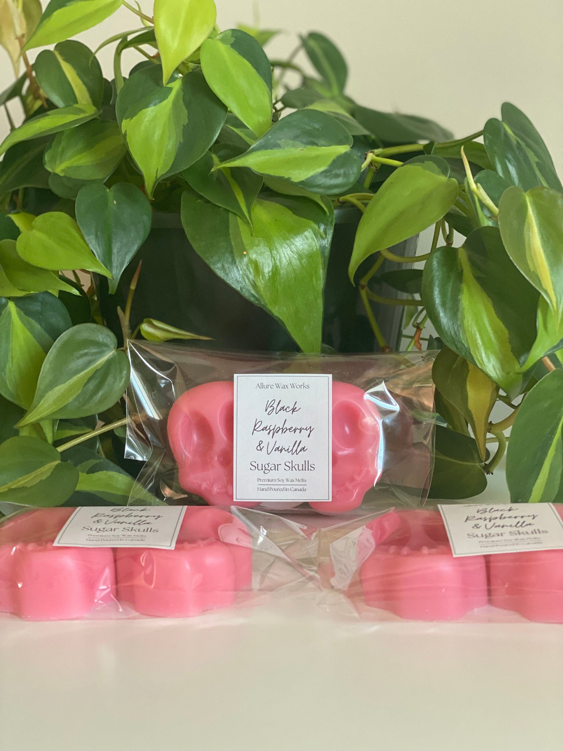 Large Black Raspberry & Vanilla Sugar Skull Wax Melts - Limited Edition