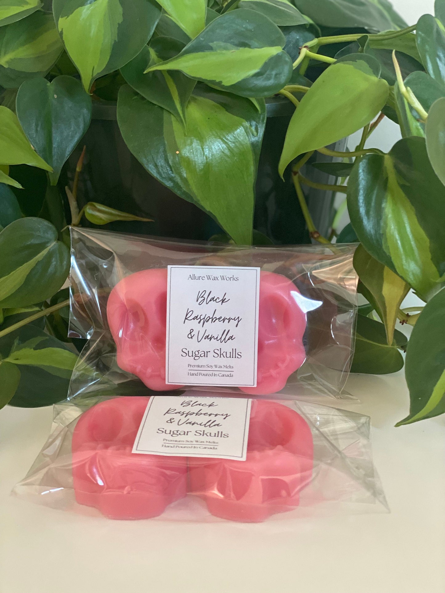 Large Black Raspberry & Vanilla Sugar Skull Wax Melts - Limited Edition
