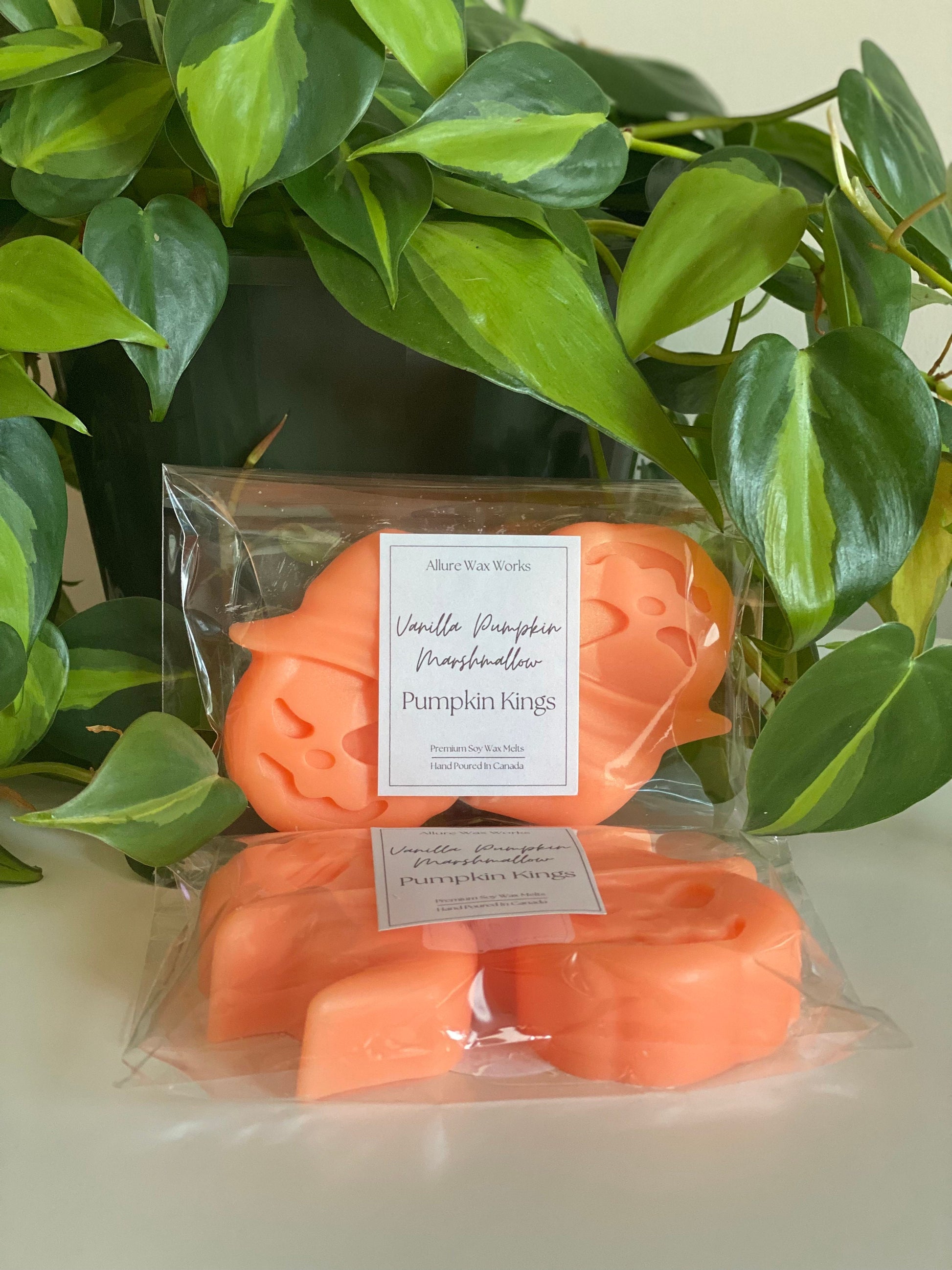 Large Vanilla Pumpkin Marshmallow Pumpkin King Wax Melts - Limited Edition