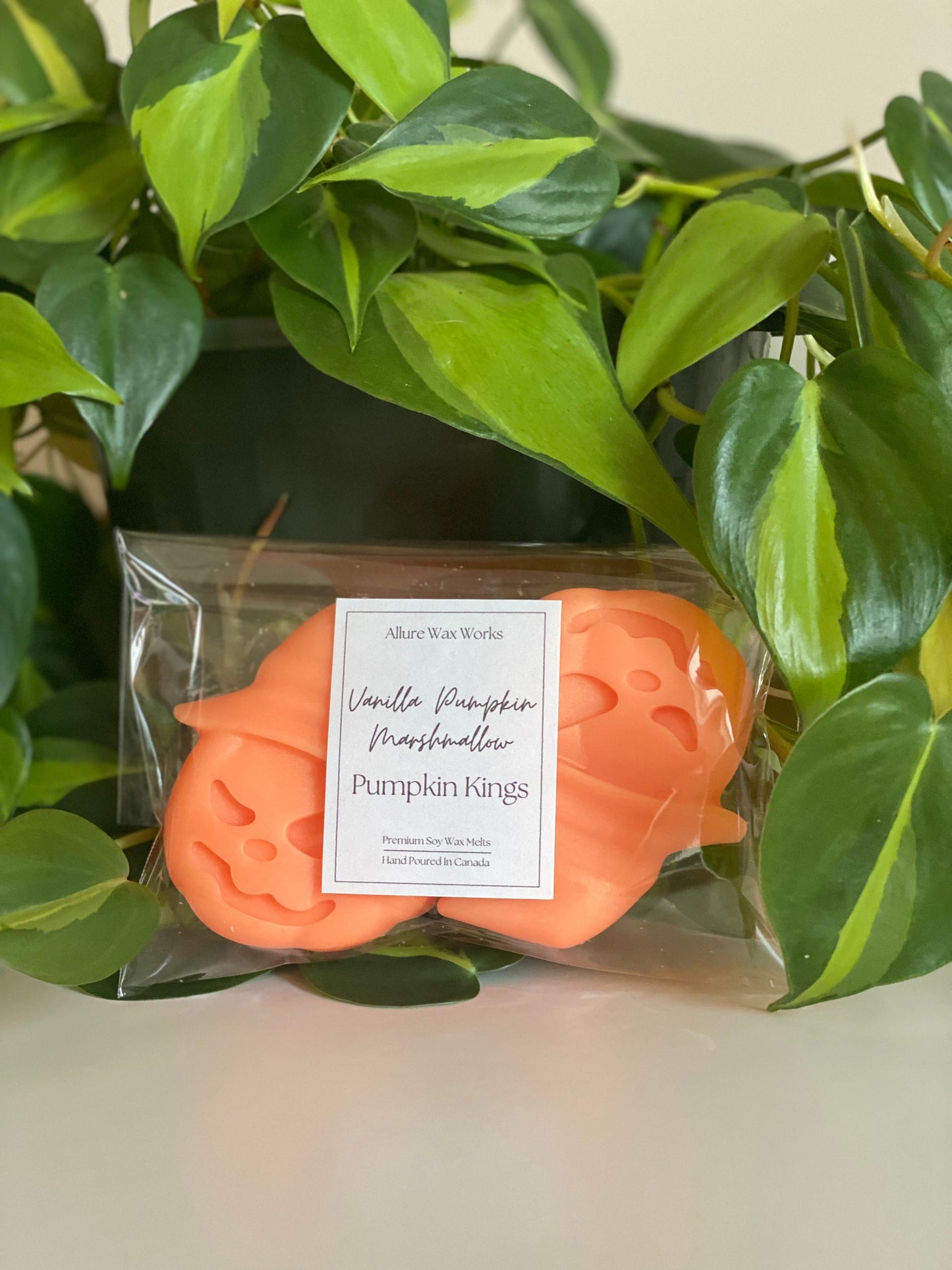 Large Vanilla Pumpkin Marshmallow Pumpkin King Wax Melts - Limited Edition