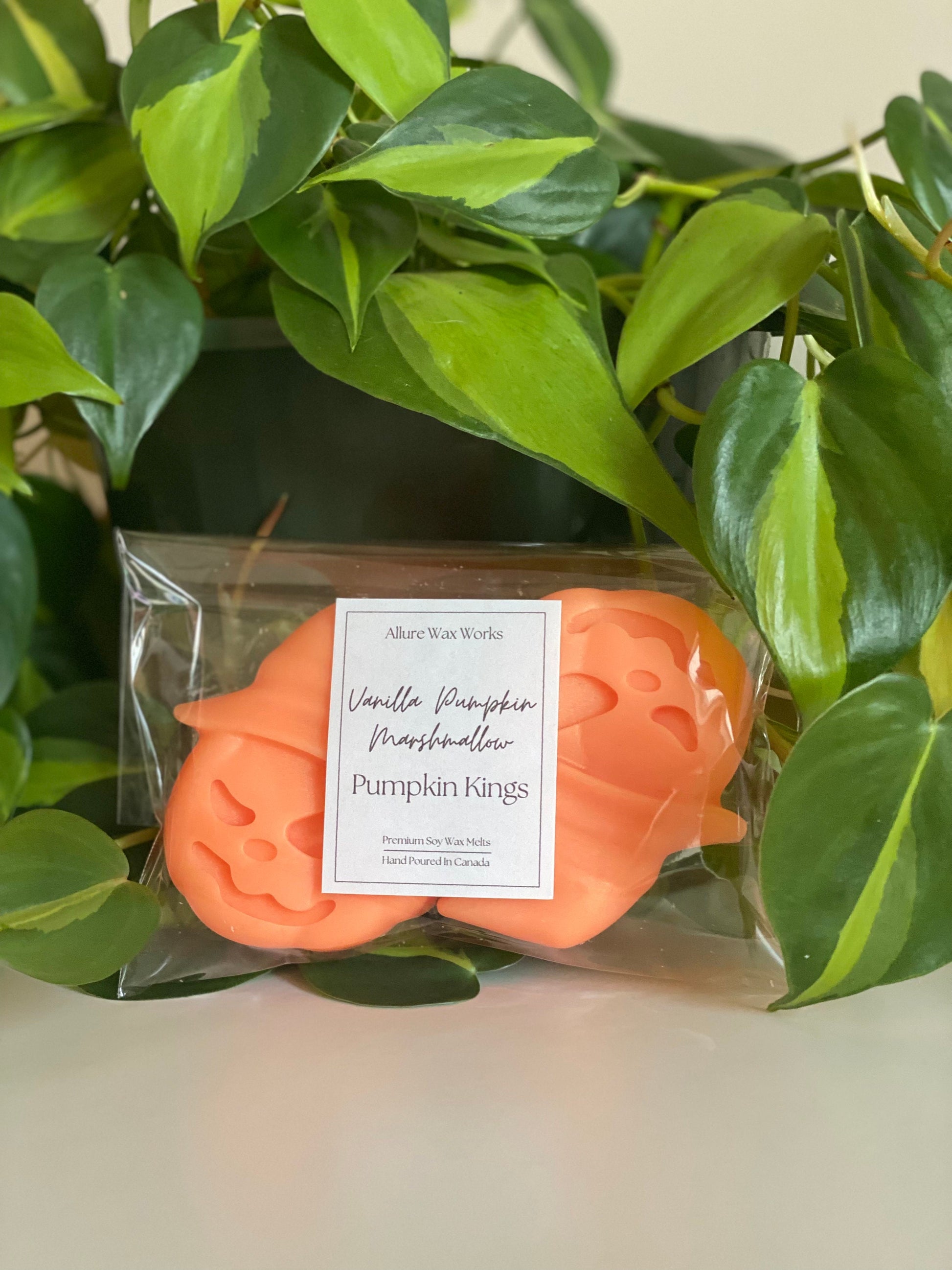 Large Vanilla Pumpkin Marshmallow Pumpkin King Wax Melts - Limited Edition