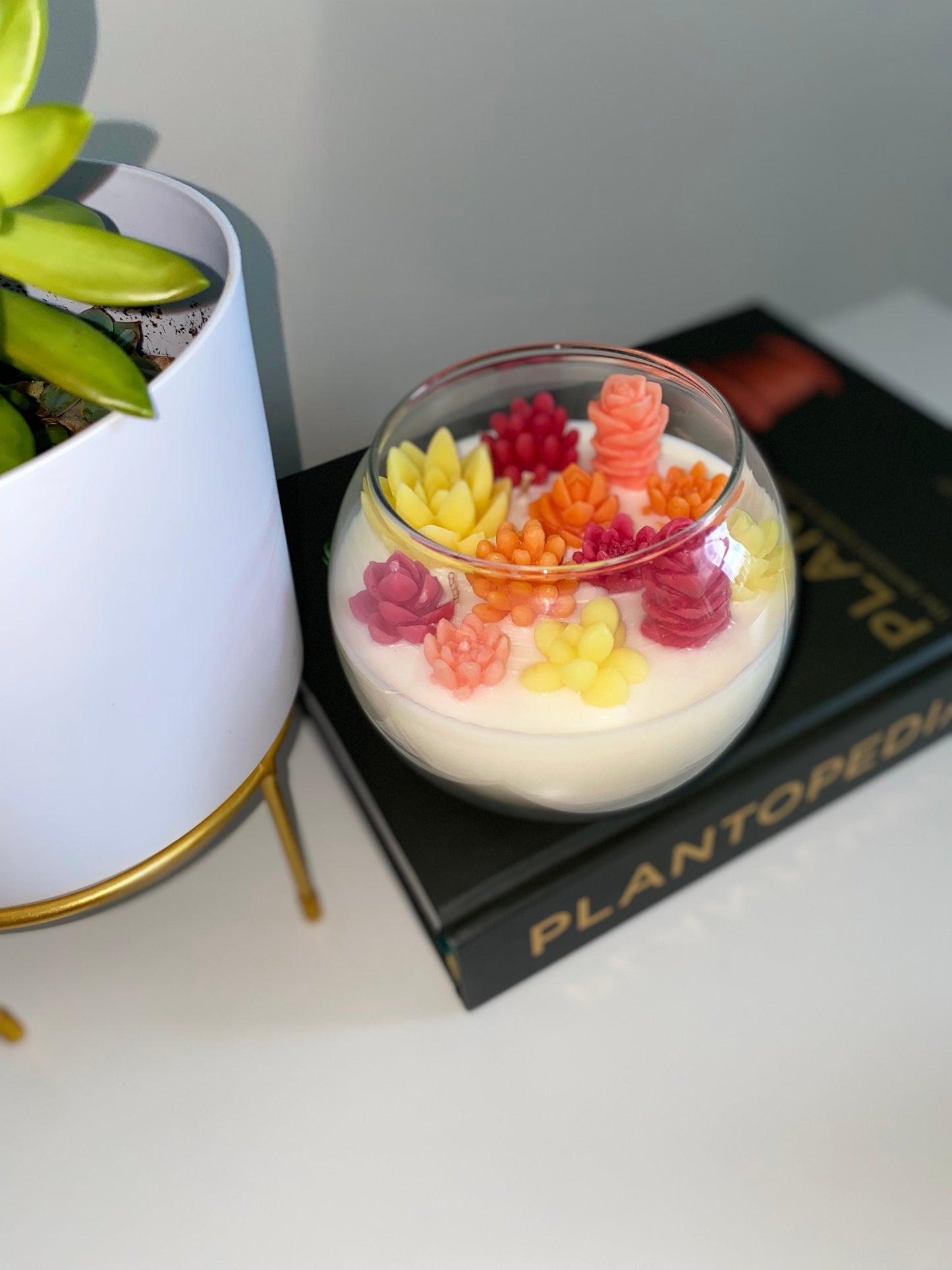 Autumn Succulent Garden Candle - Limited Edition