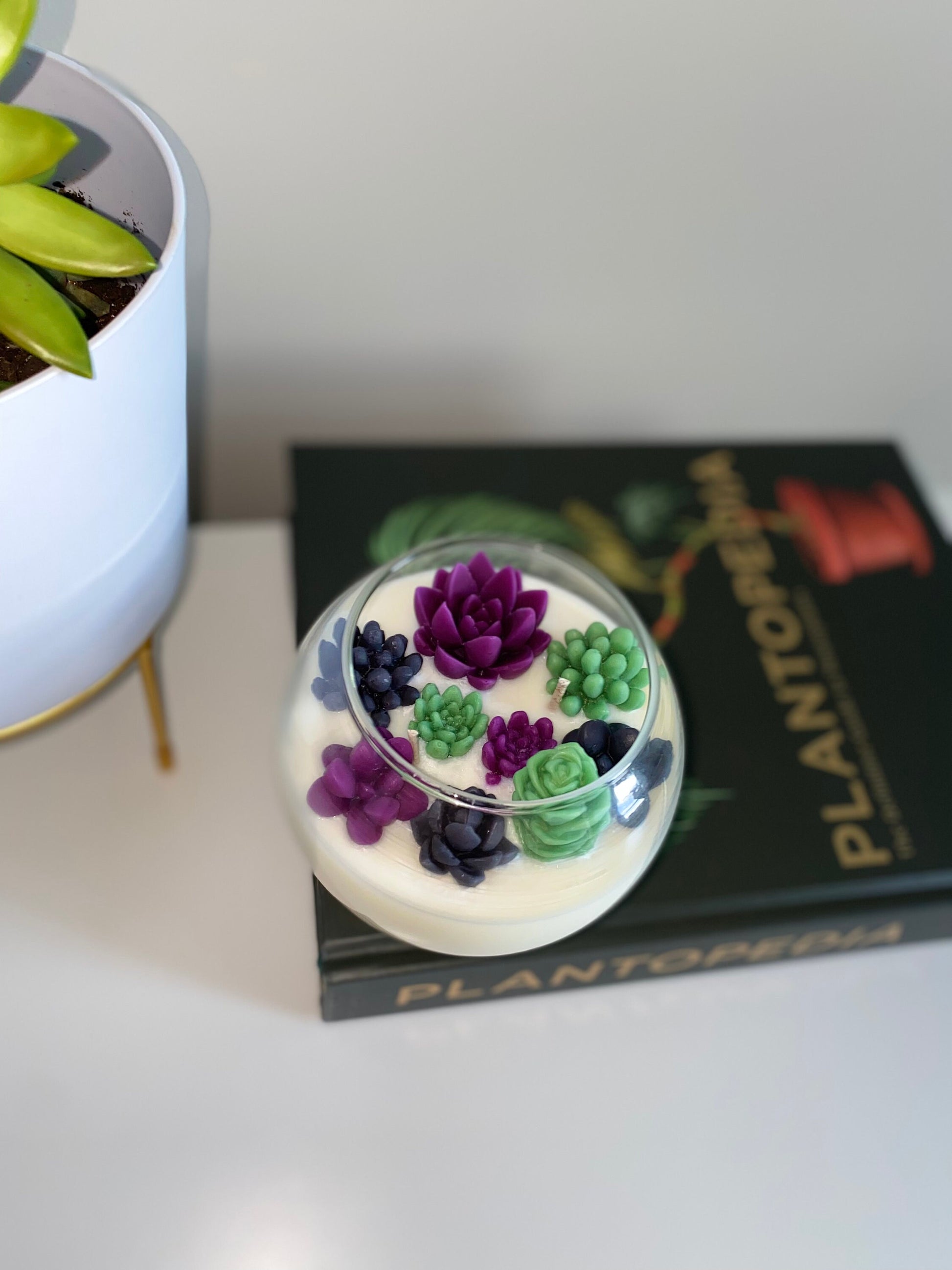Halloween Succulent Garden Candle - Limited Edition