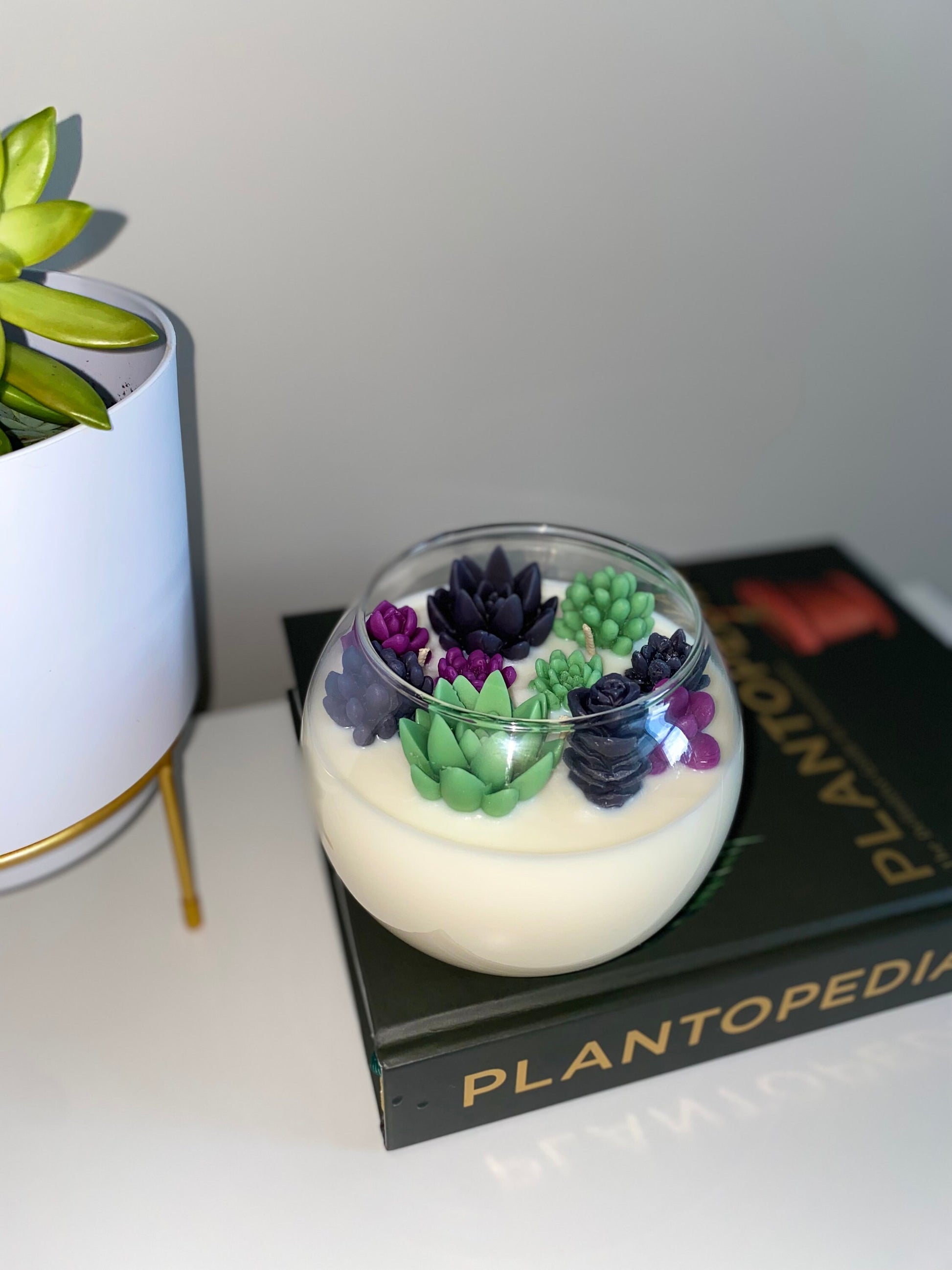 Halloween Succulent Garden Candle - Limited Edition