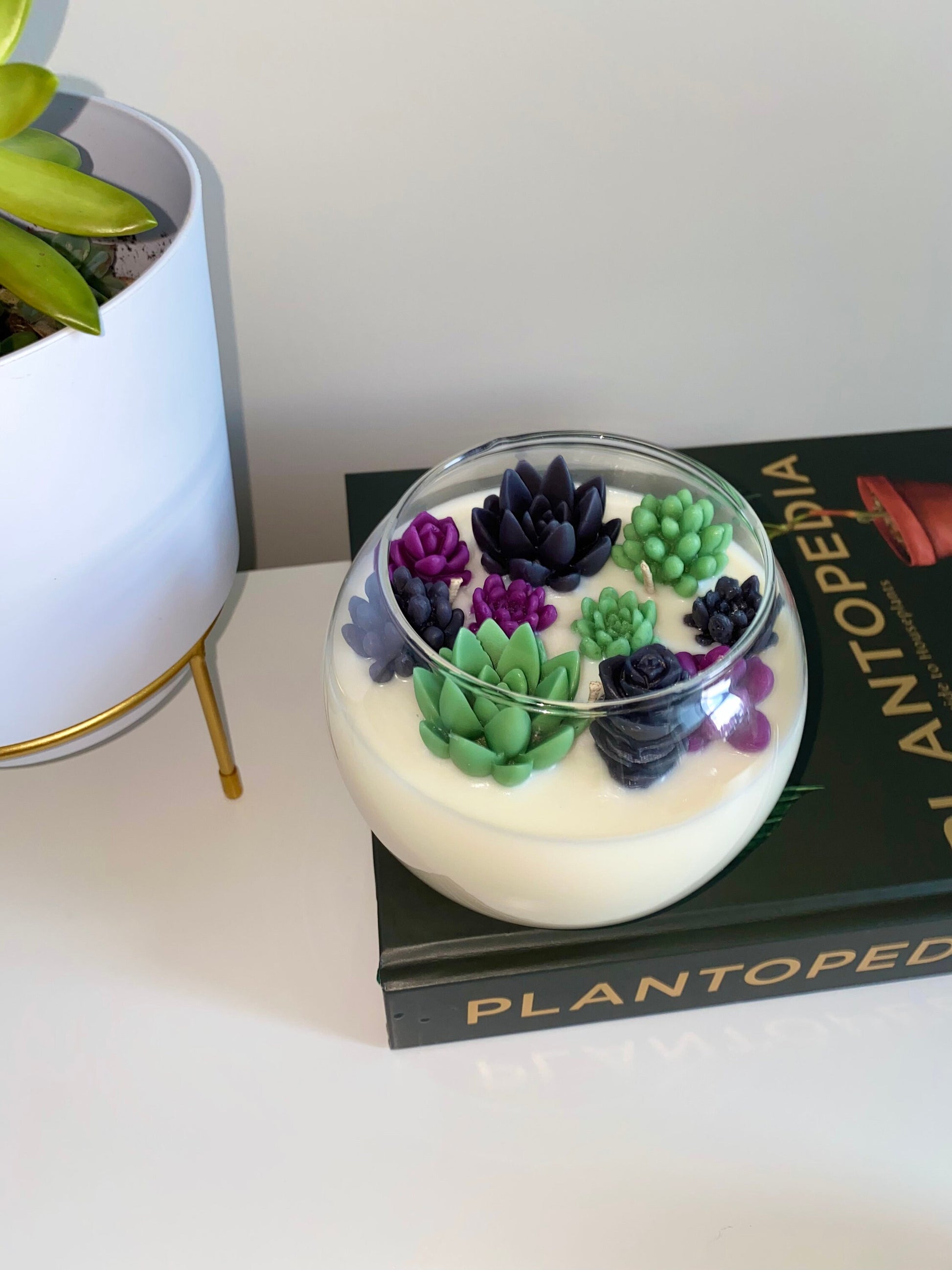 Halloween Succulent Garden Candle - Limited Edition